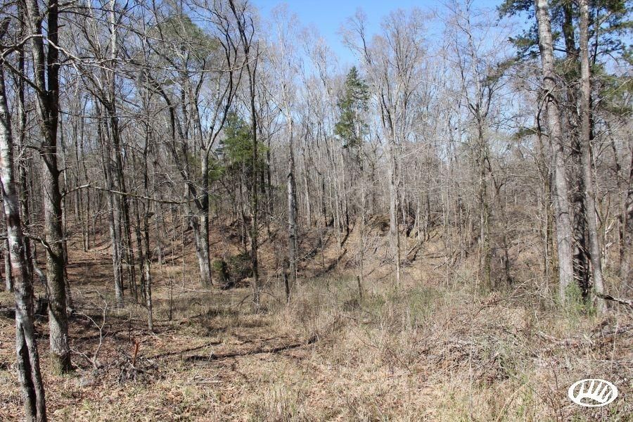 2,400 acres in Jefferson County, Mississippi