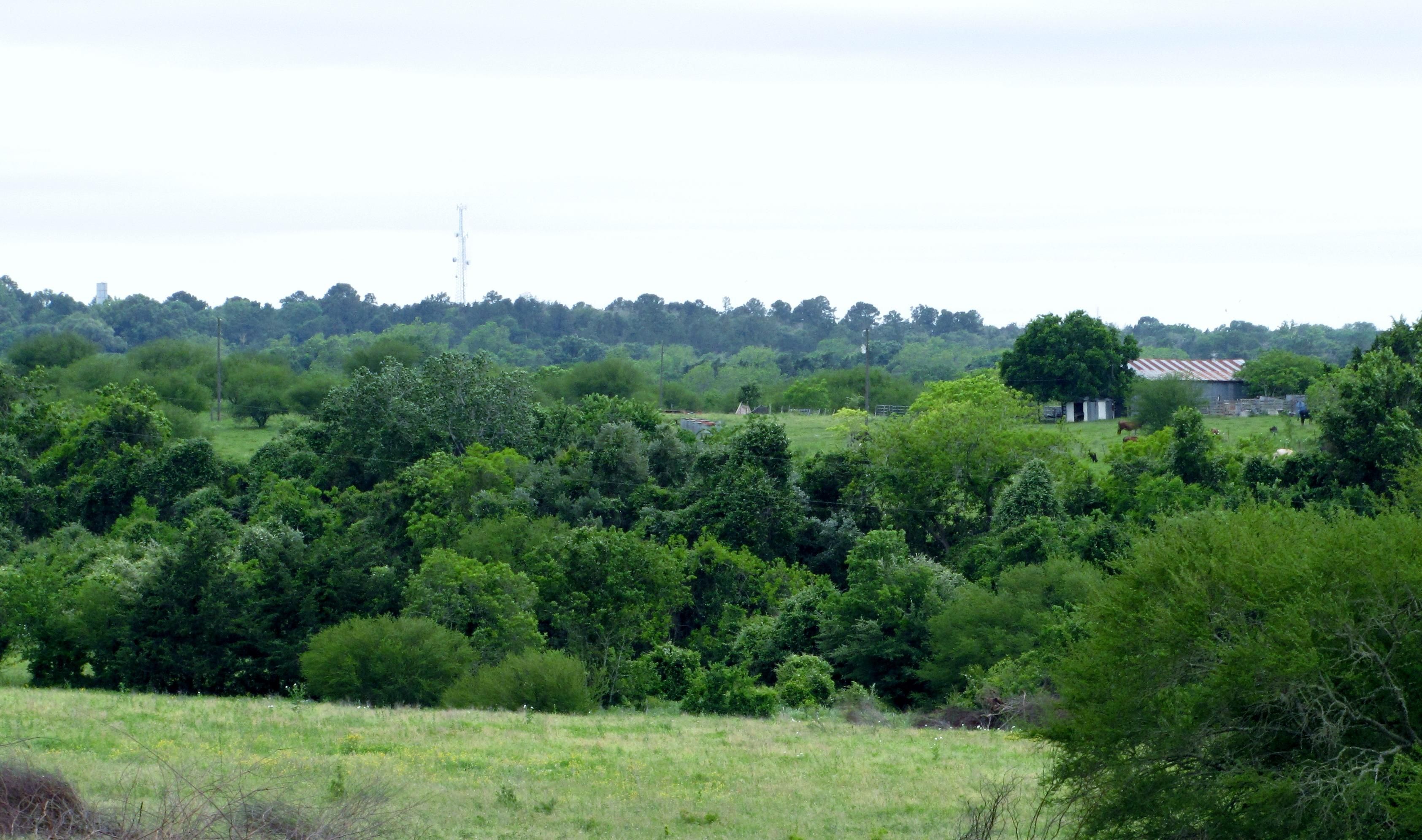 100 acres in Austin County, Texas
