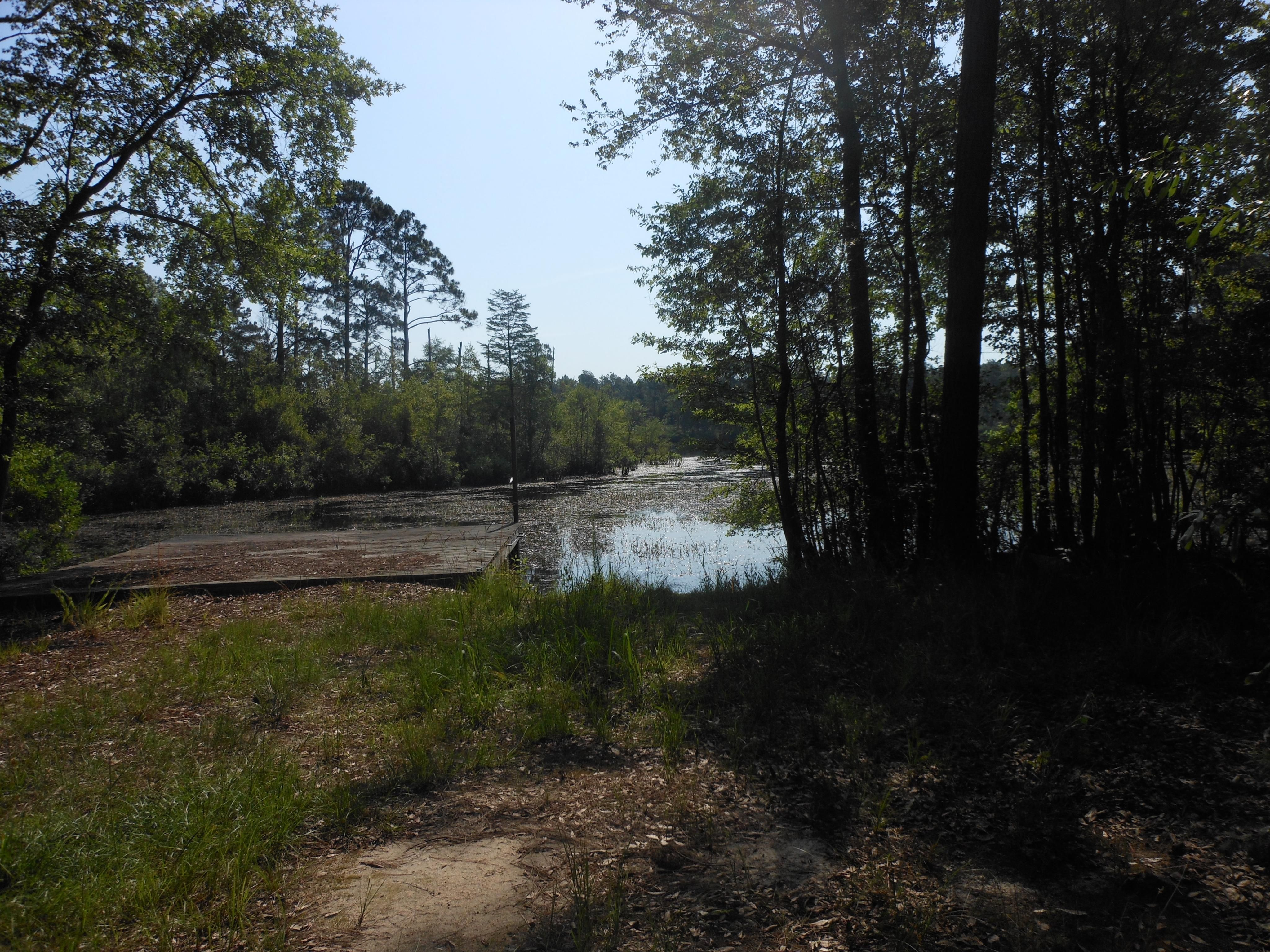 5.7 acres in Bulloch County,