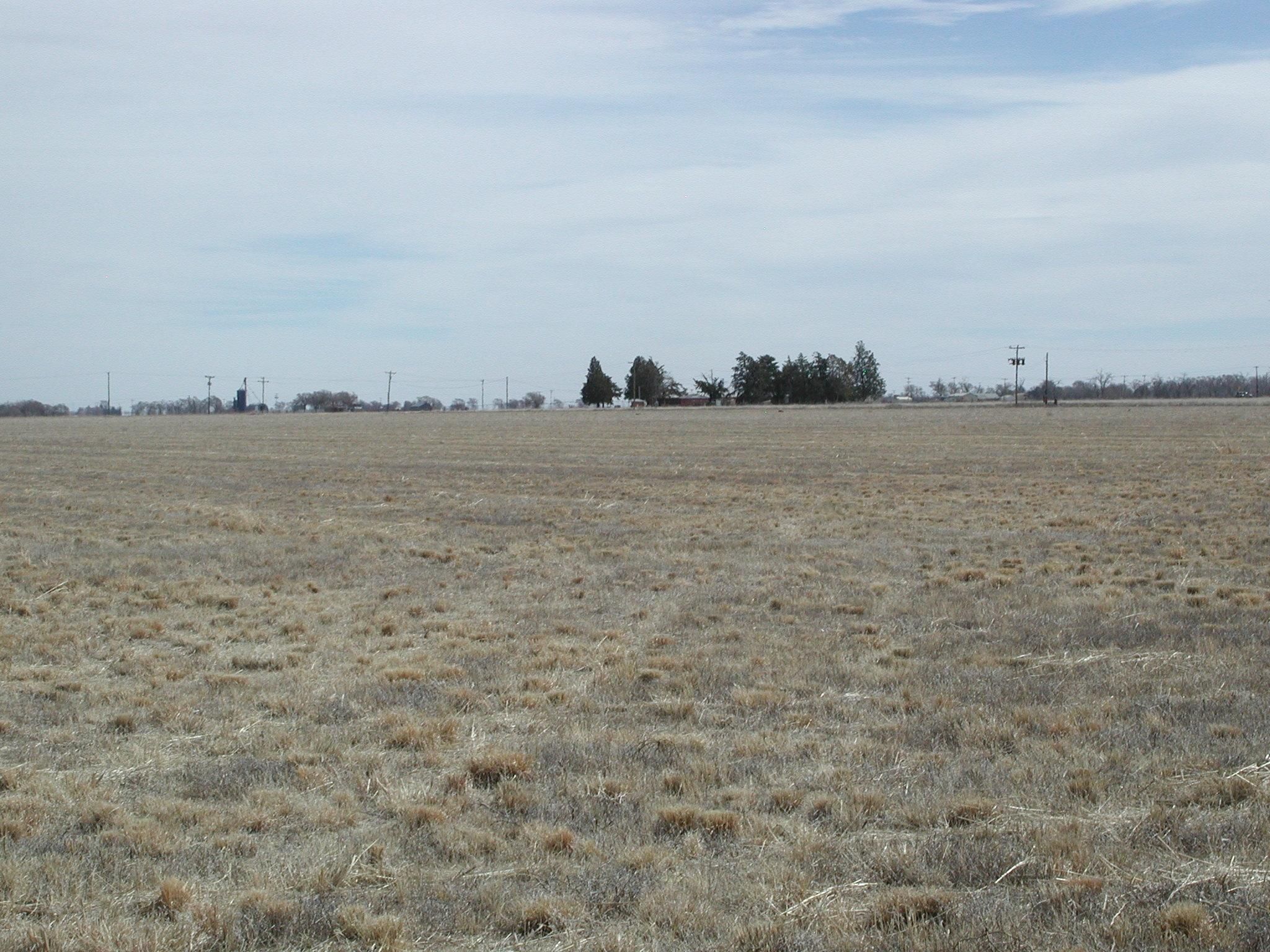 40.00 acres in Bailey County, Texas