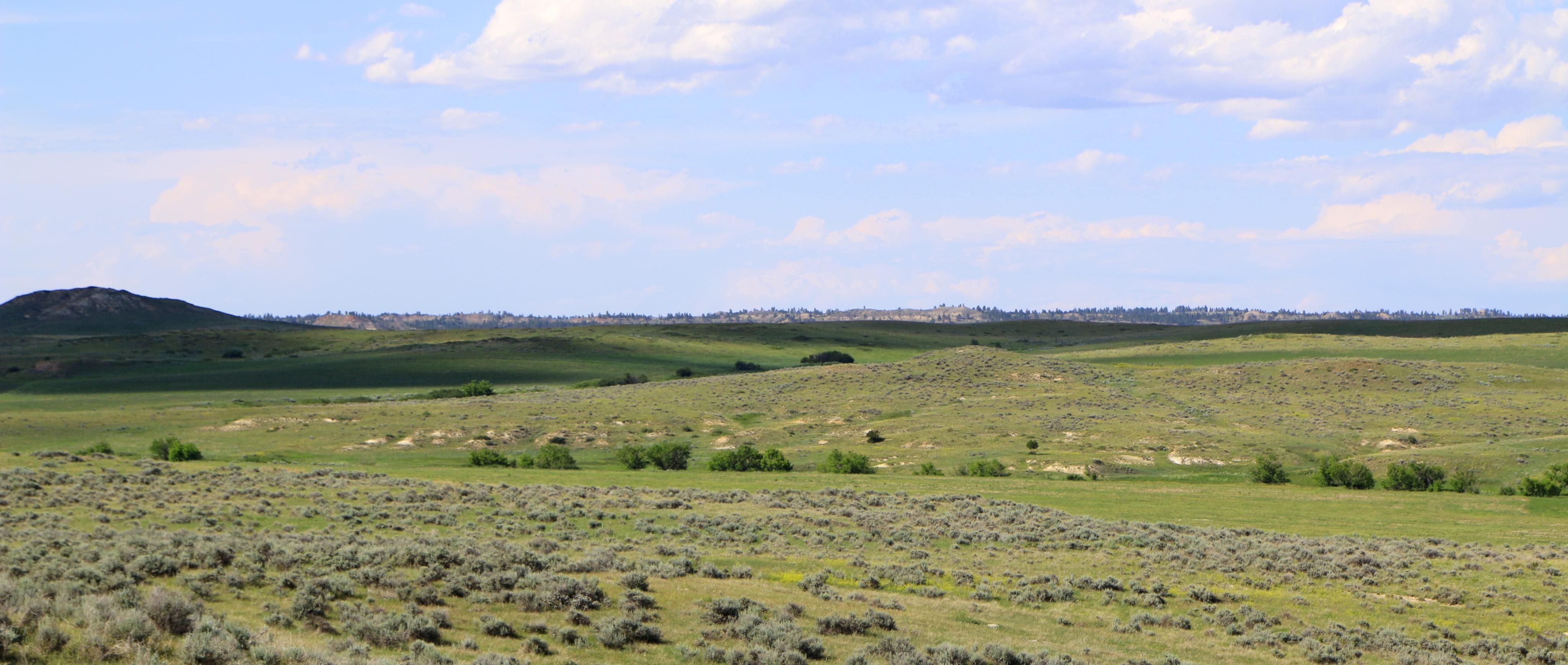 319.00 acres in Custer County, Montana