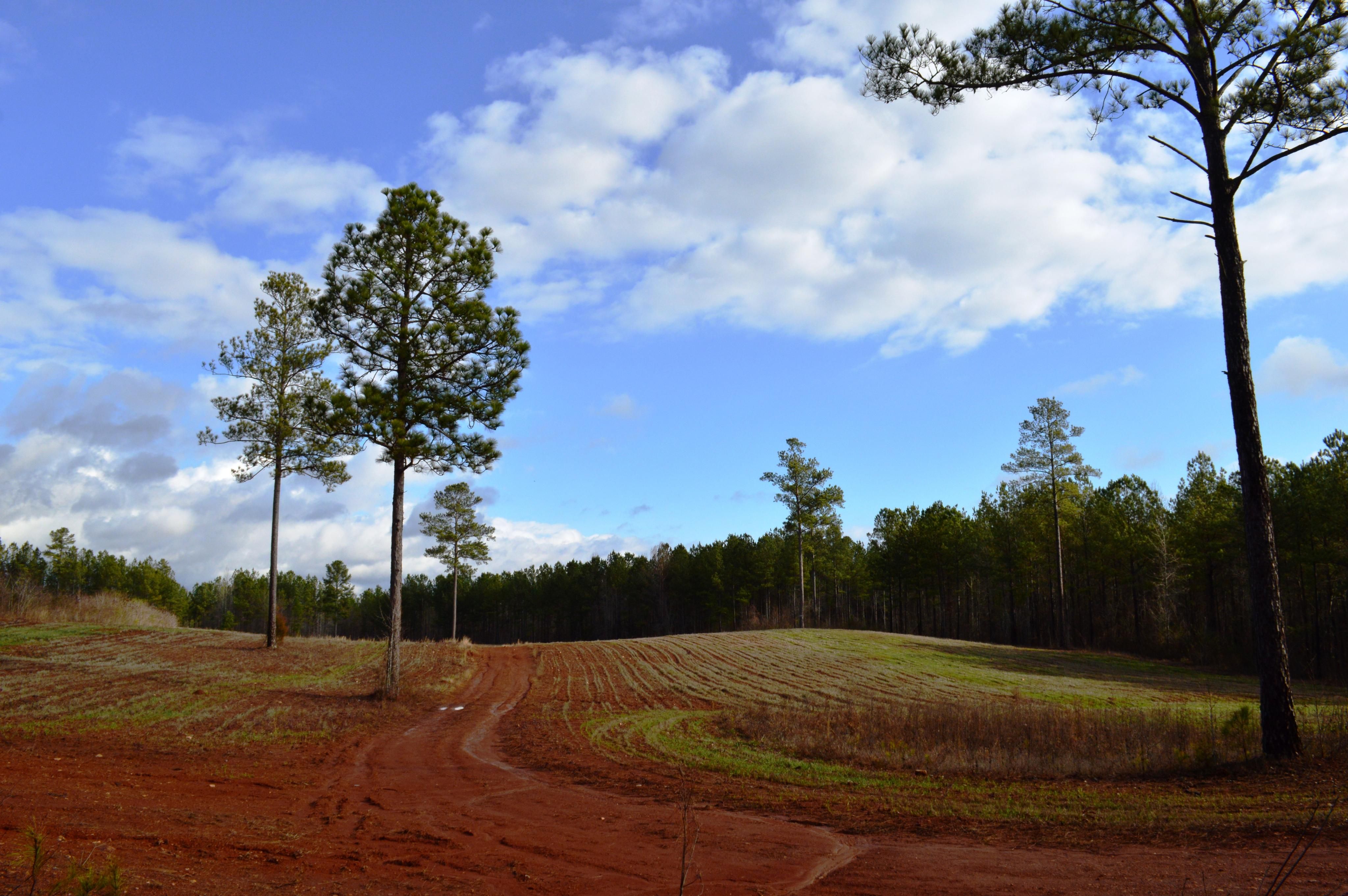 820 acres in Heard County,