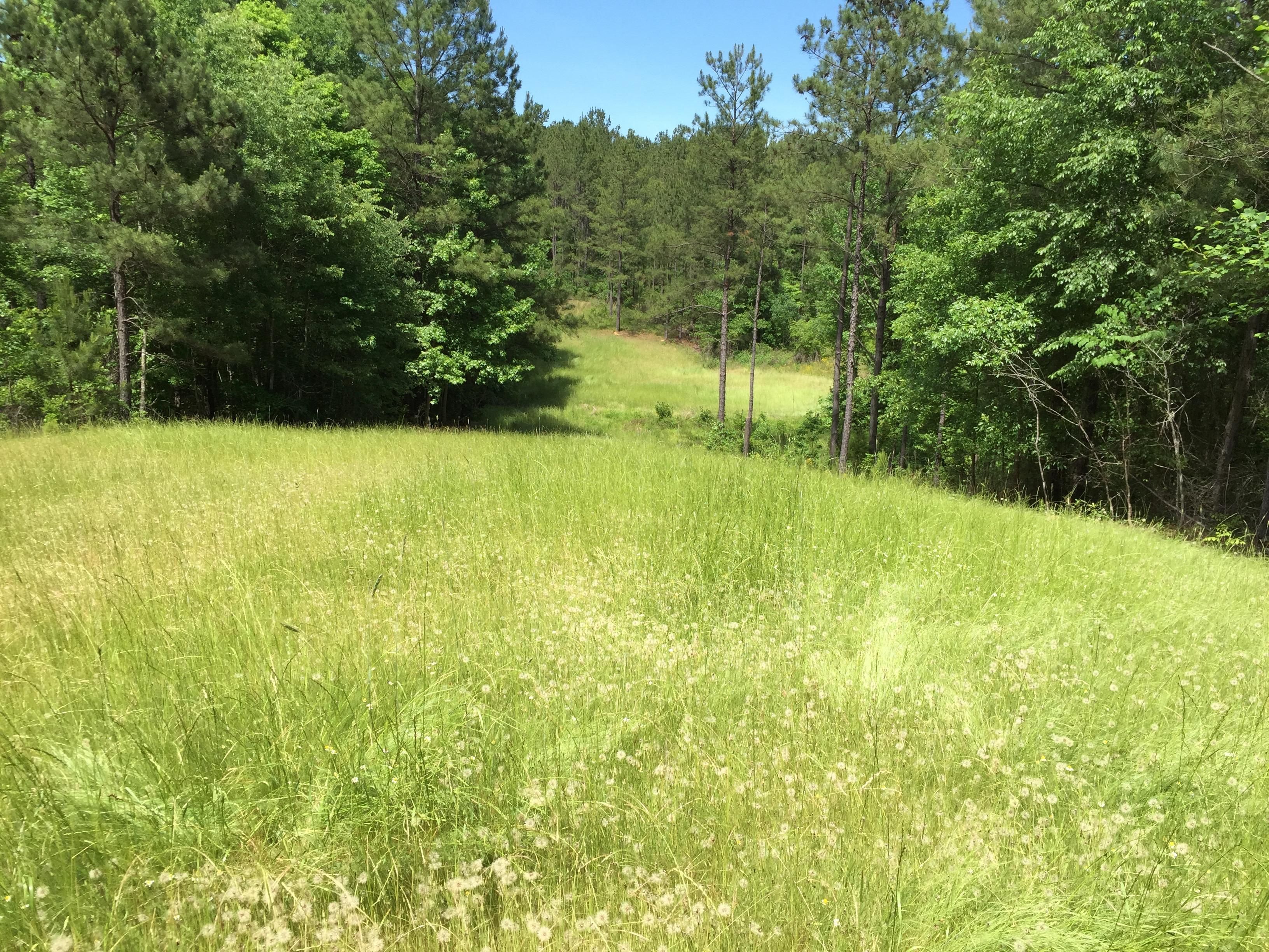 542 acres in Coosa County, Alabama