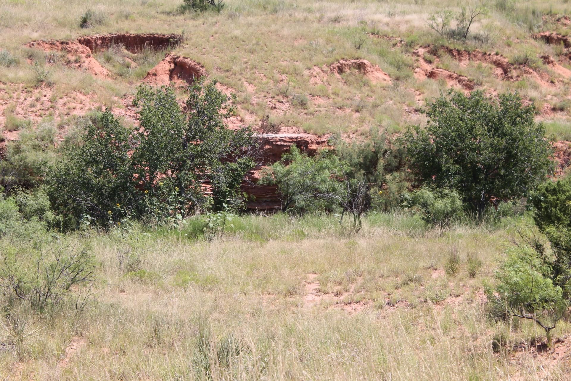 692 acres in Dickens County, Texas