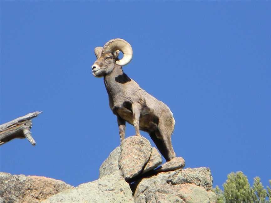 1,425 acres in Teller County, Colorado
