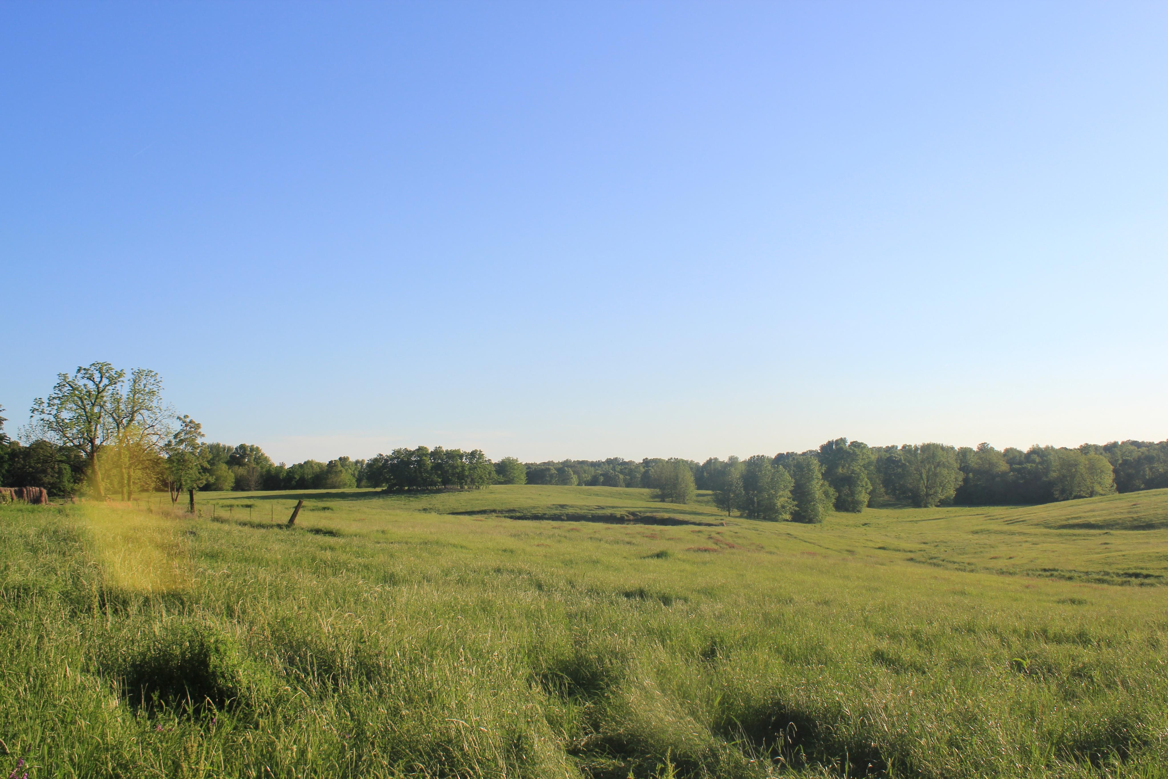 185 acres in DeSoto County, Mississippi