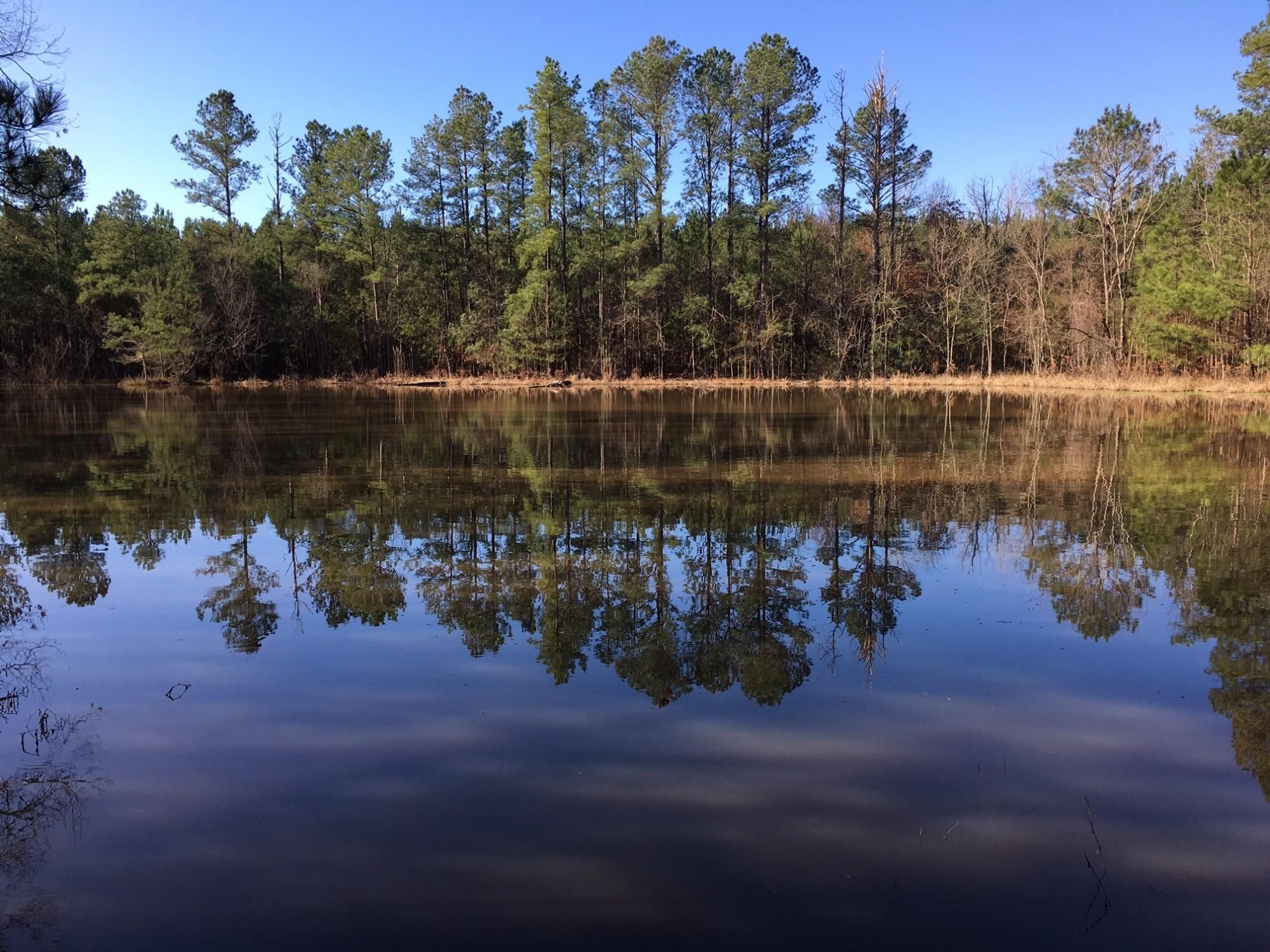 1,109 acres in Lowndes County, Alabama