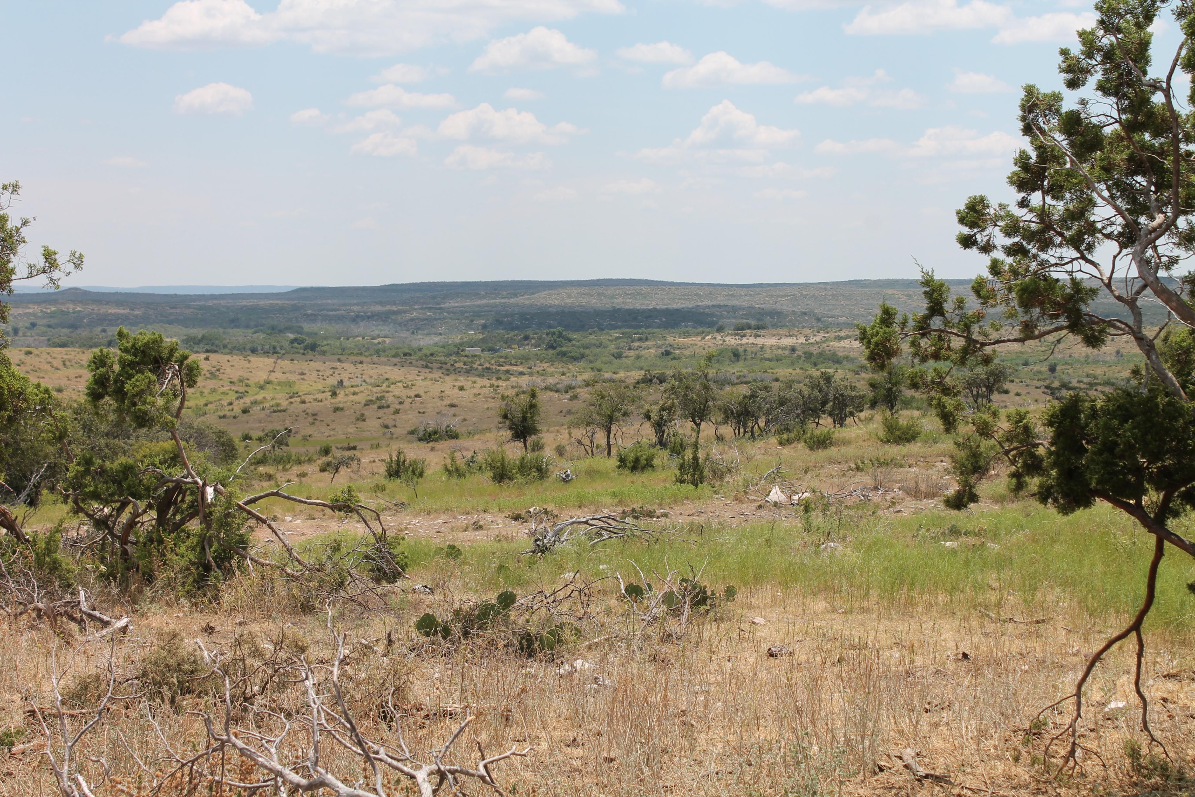 1,025 acres in Nolan County, Texas