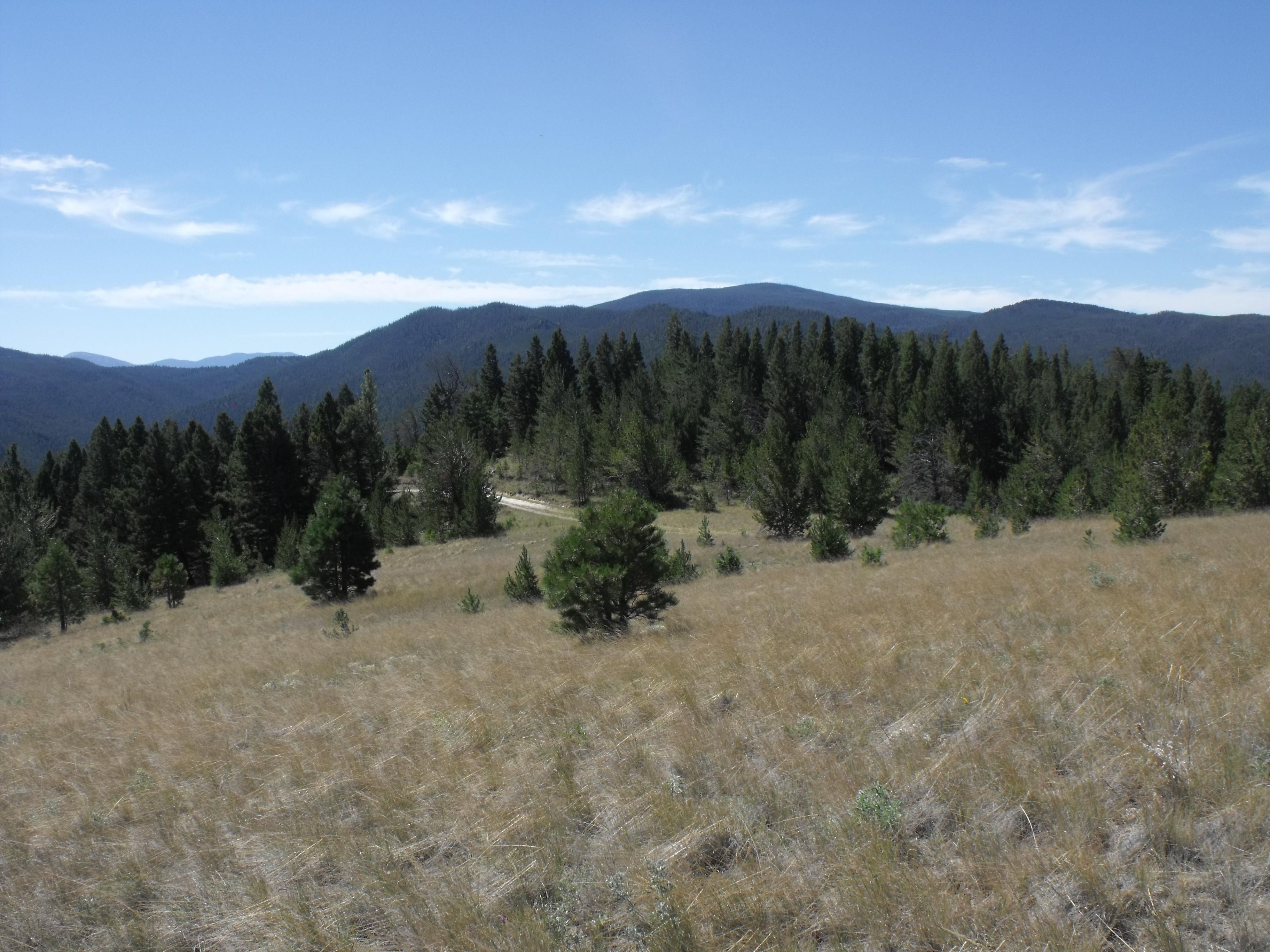 20 acres in Lewis and Clark County, Montana
