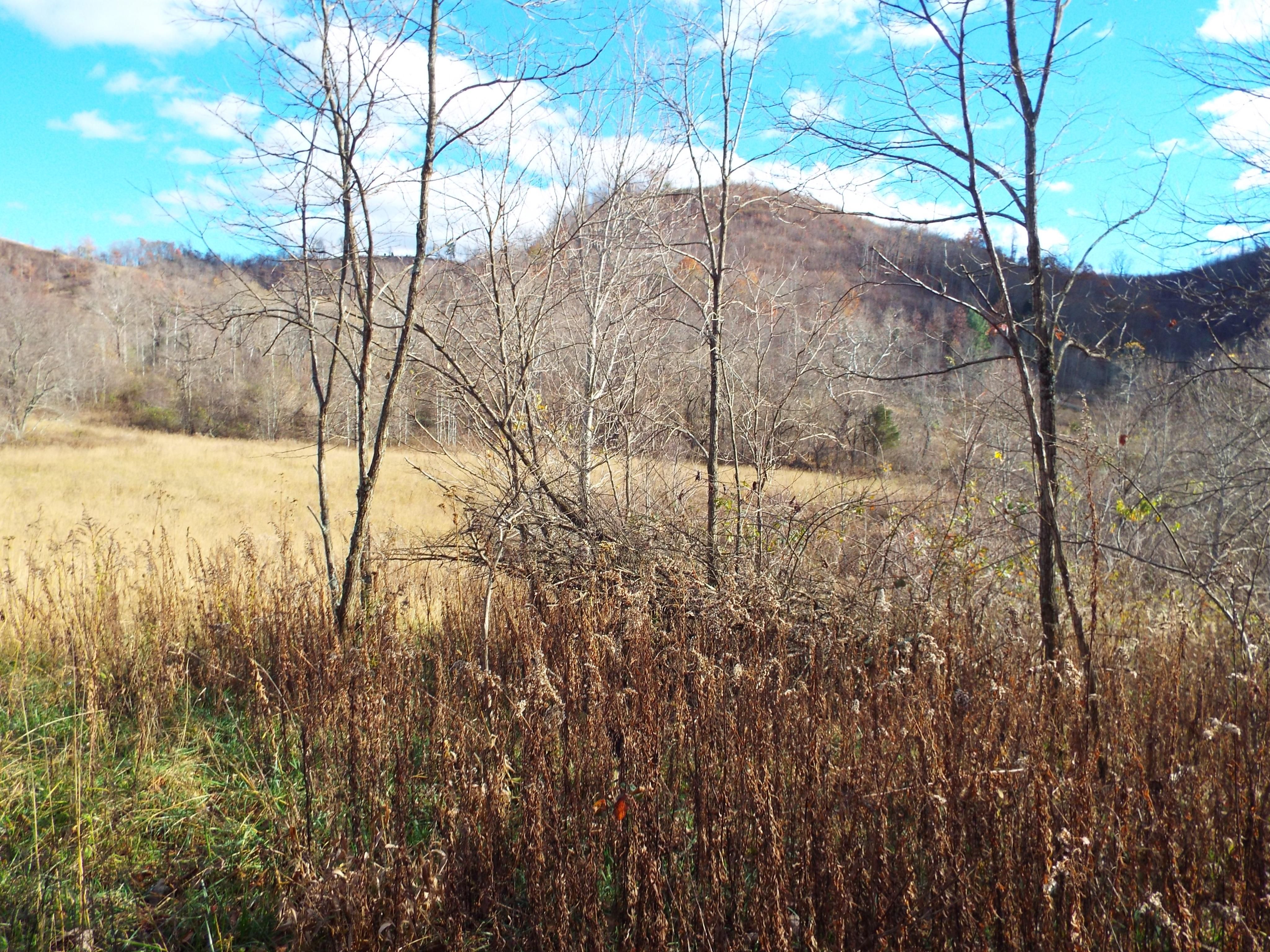 289.28 acres in Russell County, Virginia