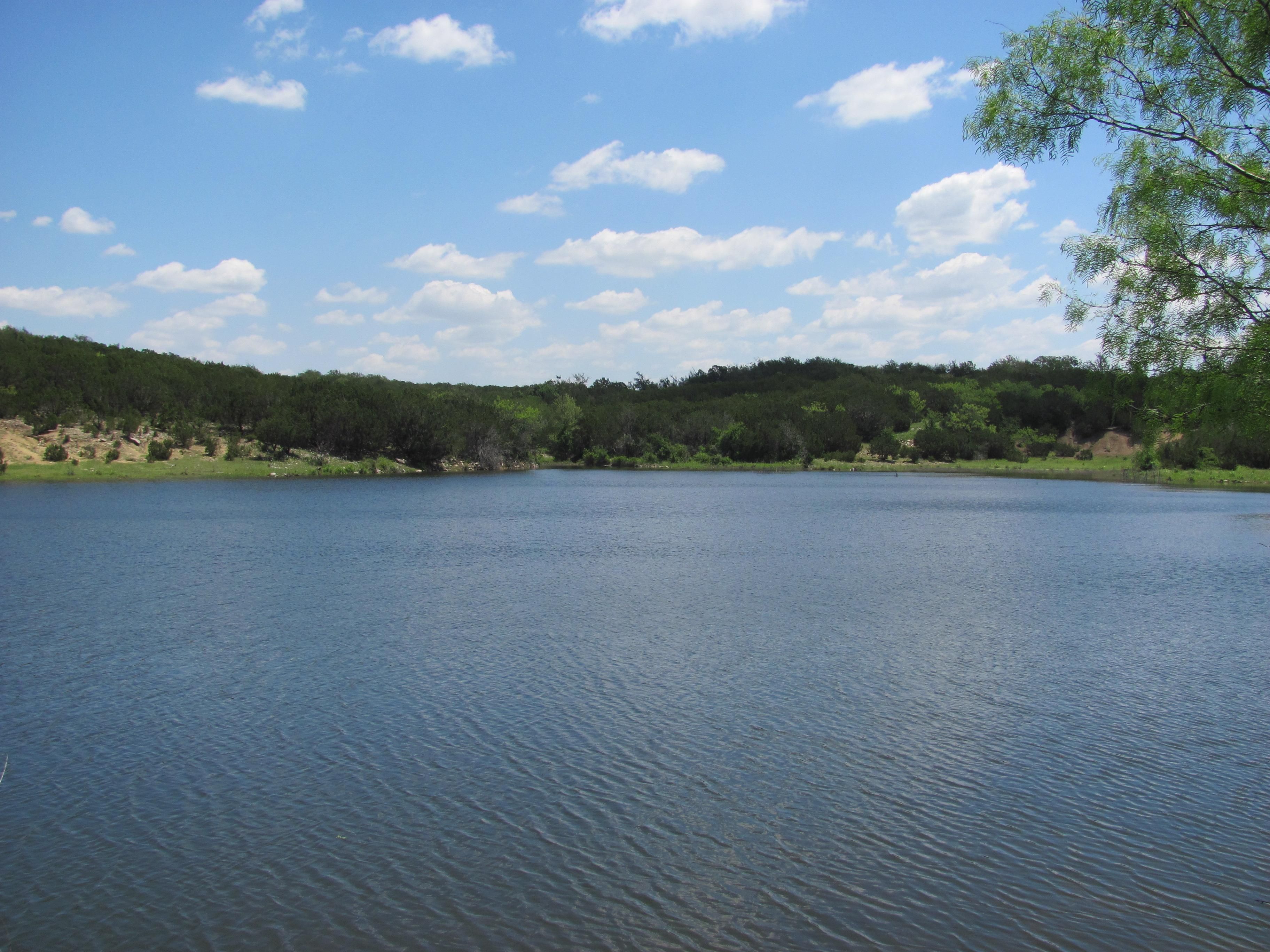 1229.00 acres in Palo Pinto County, Texas