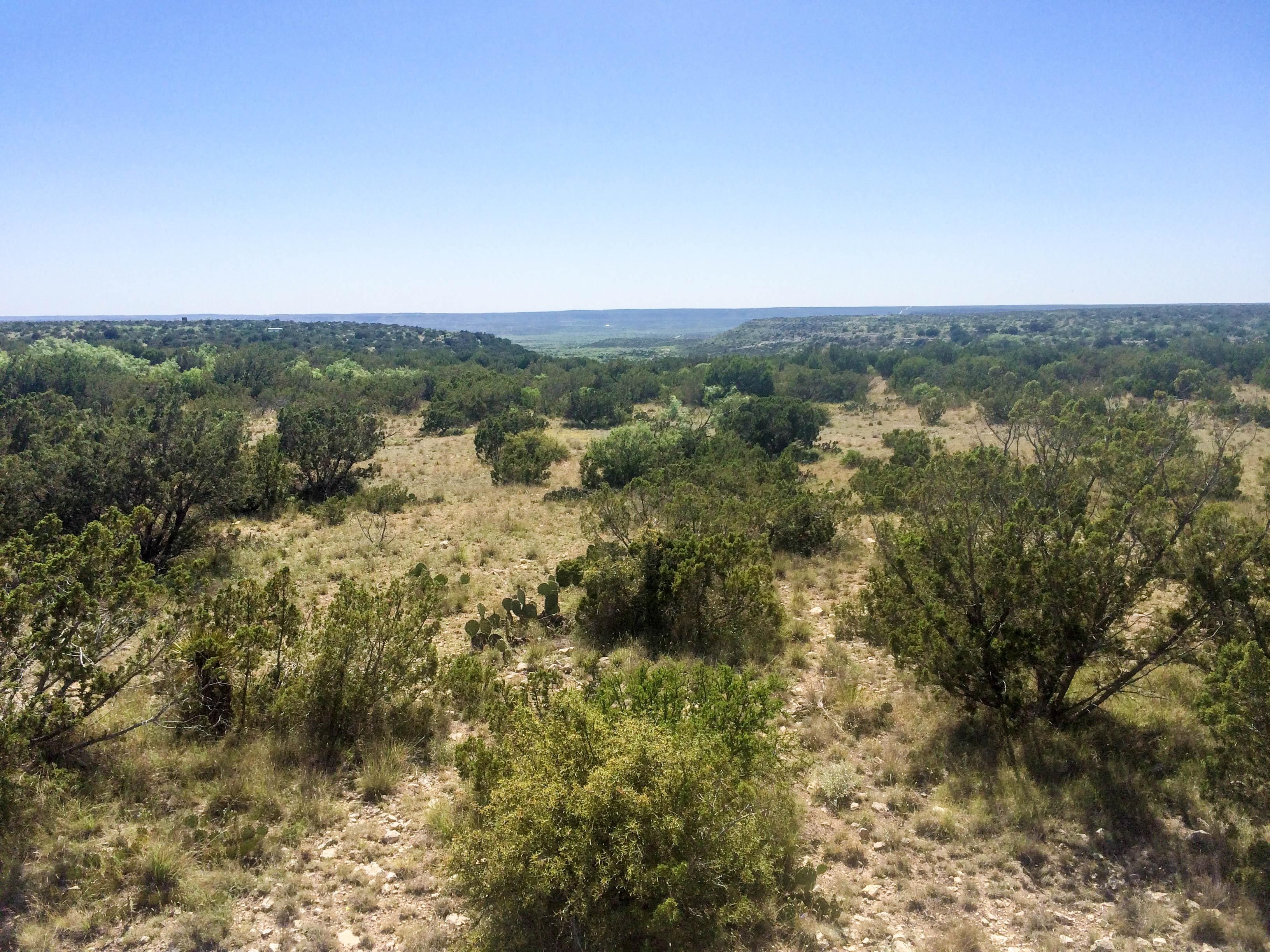 200 acres in Crockett County, Texas