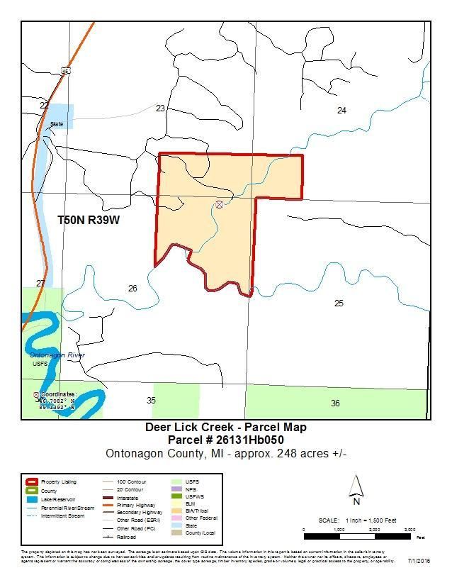 248 acres in Ontonagon County, Michigan