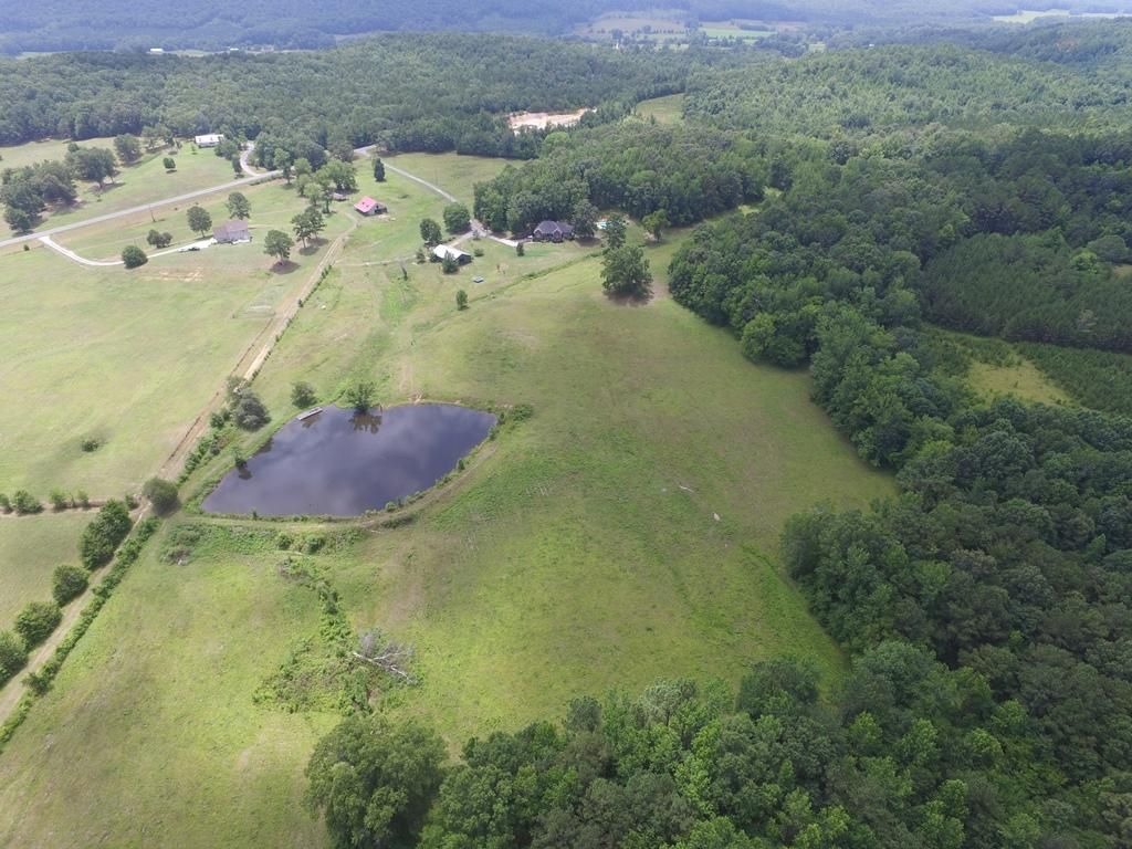 41 acres in Saint Clair County, Alabama