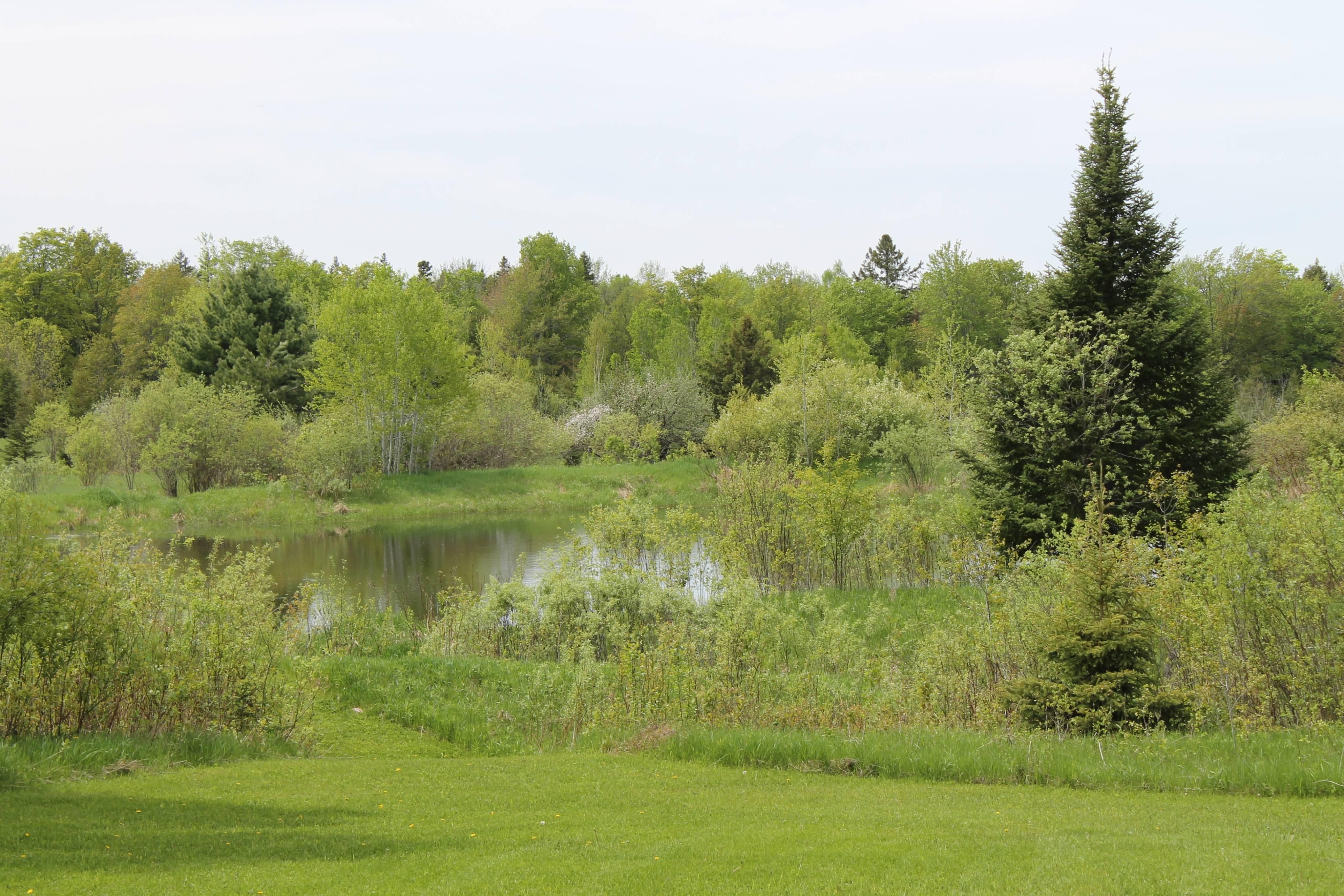 30 acres in Baraga County, Michigan