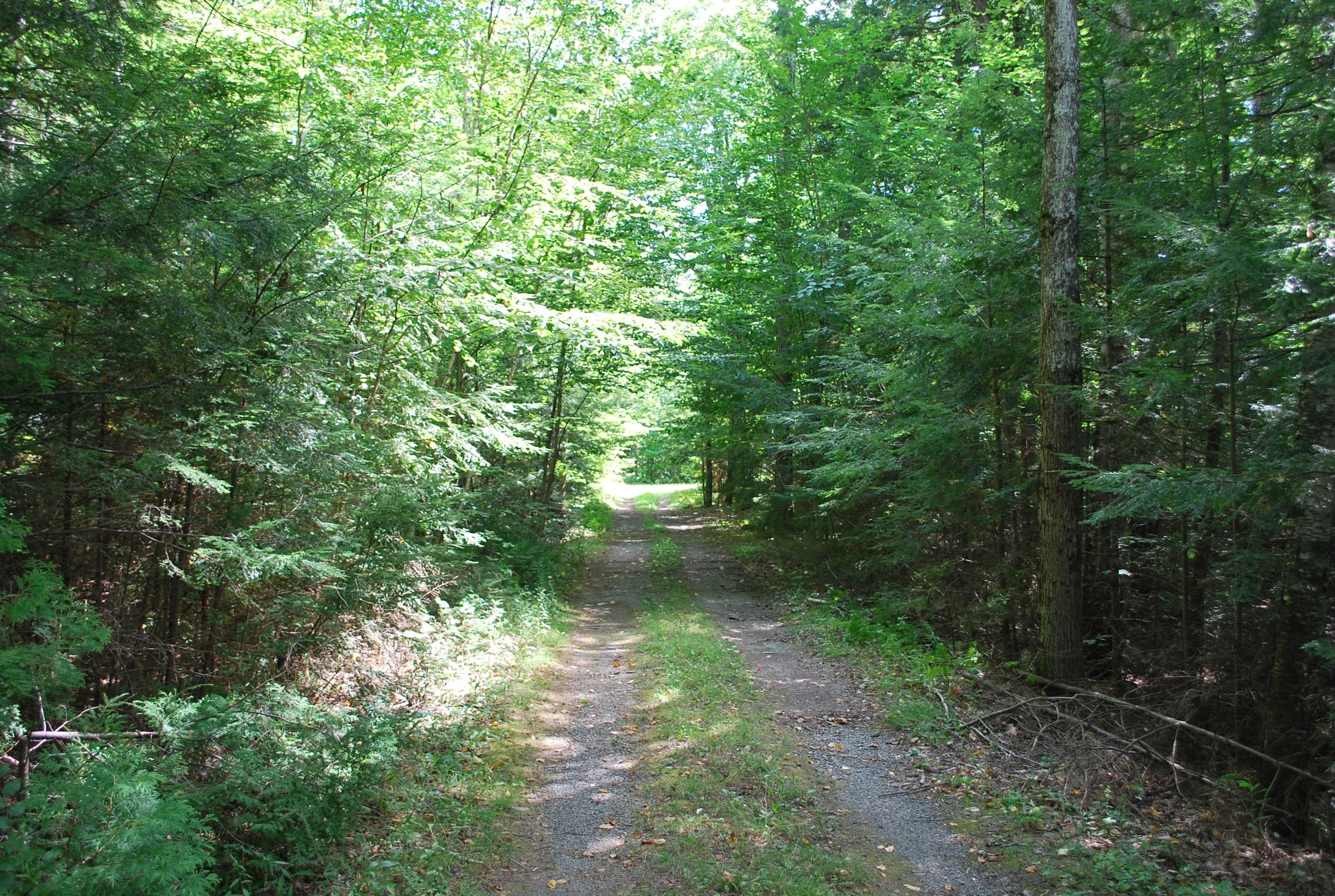 3.00 acres in Somerset County, Maine