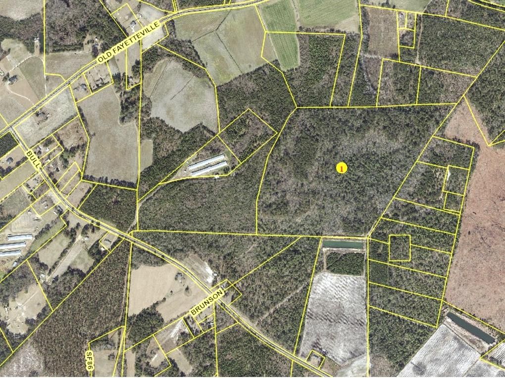 63.00 acres in Bladen County, North Carolina