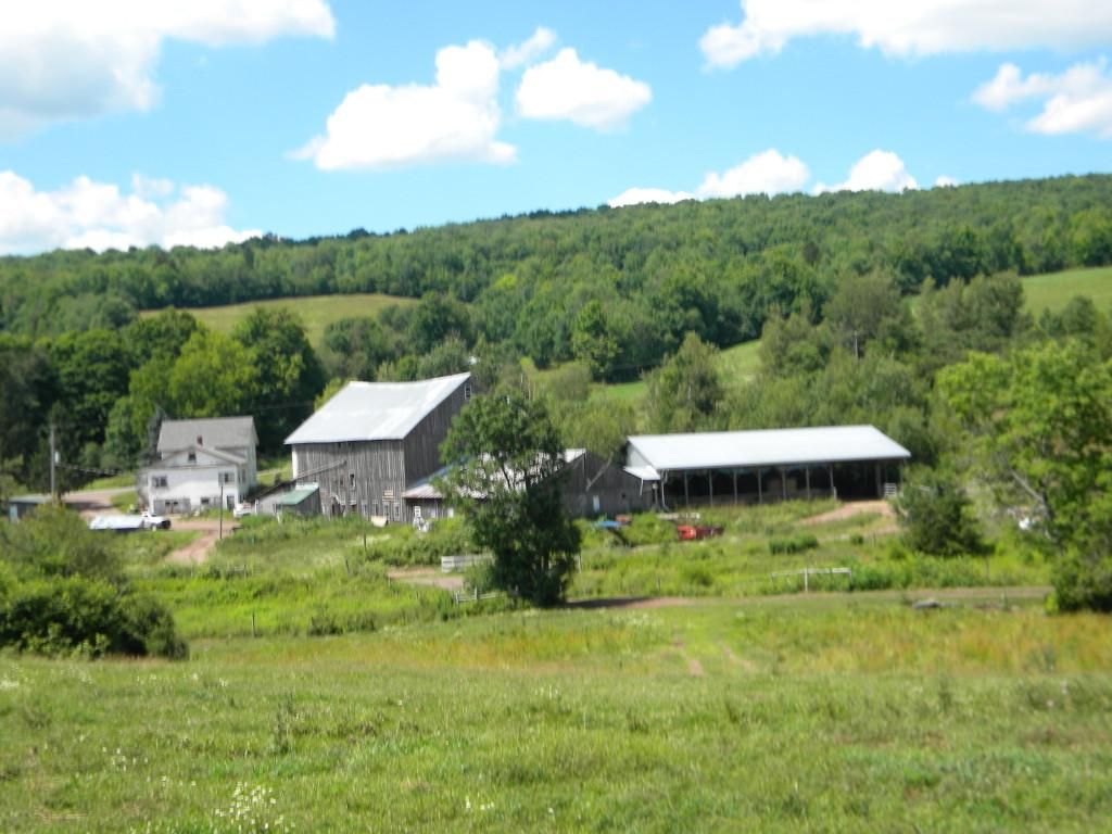 174.91 acres in Delaware County, New York