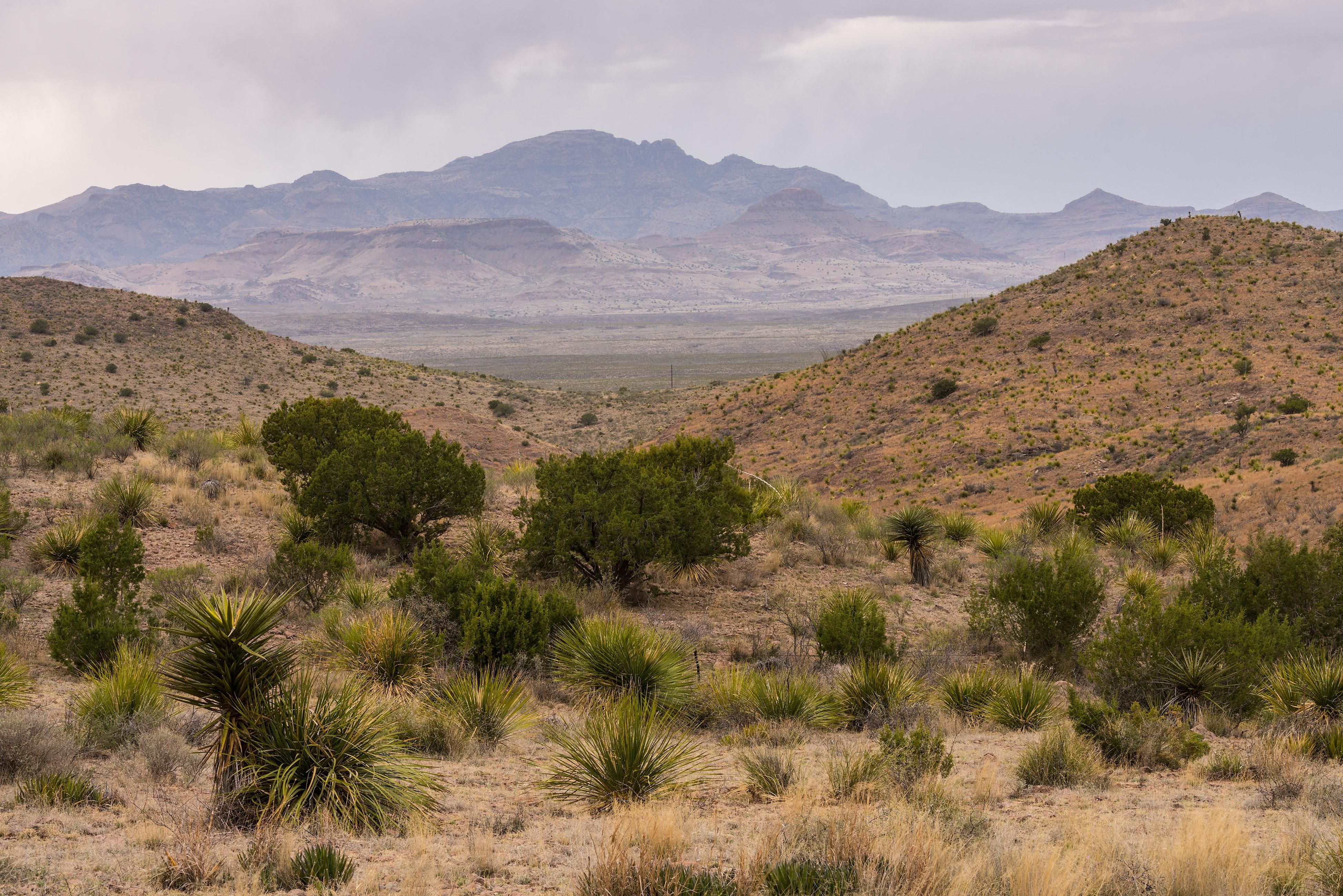 11,681 acres in Presidio County, Texas