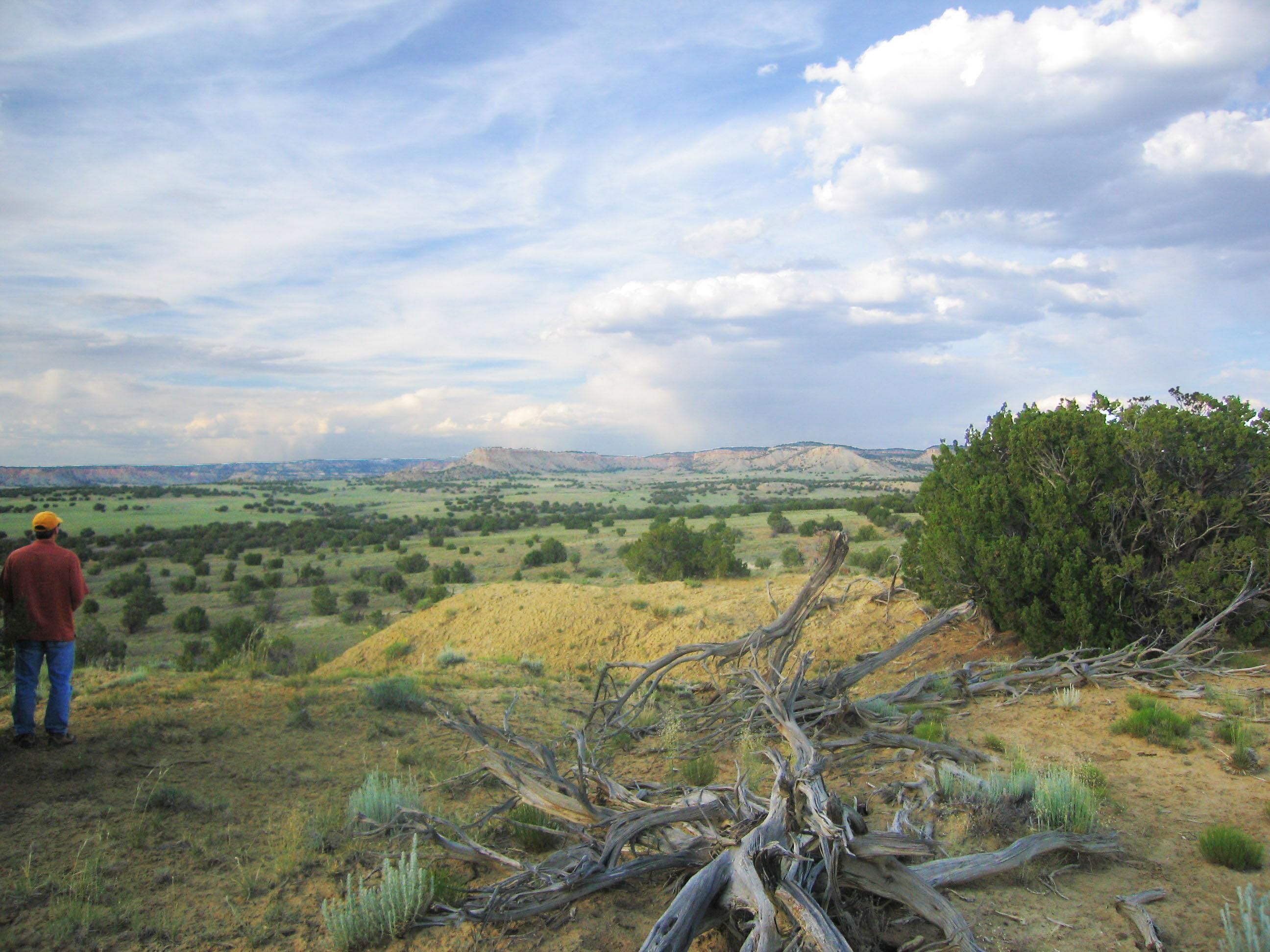 36.5 acres in Apache County, Arizona