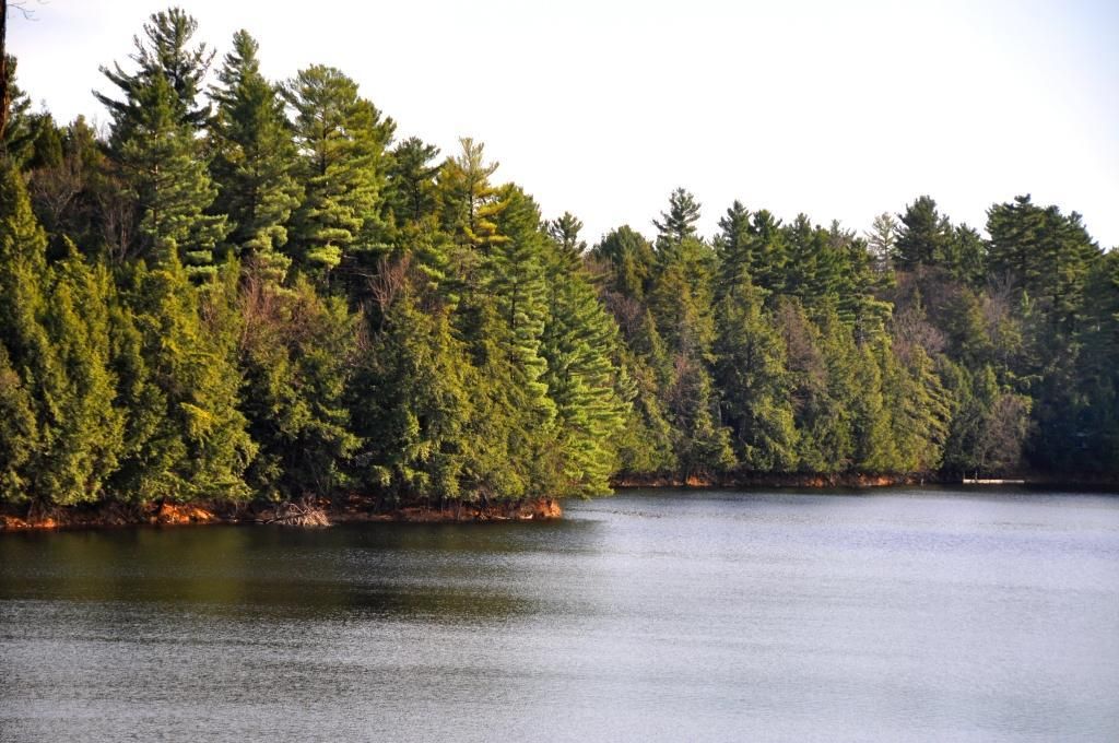 1.50 acres in Saint Lawrence County, New York