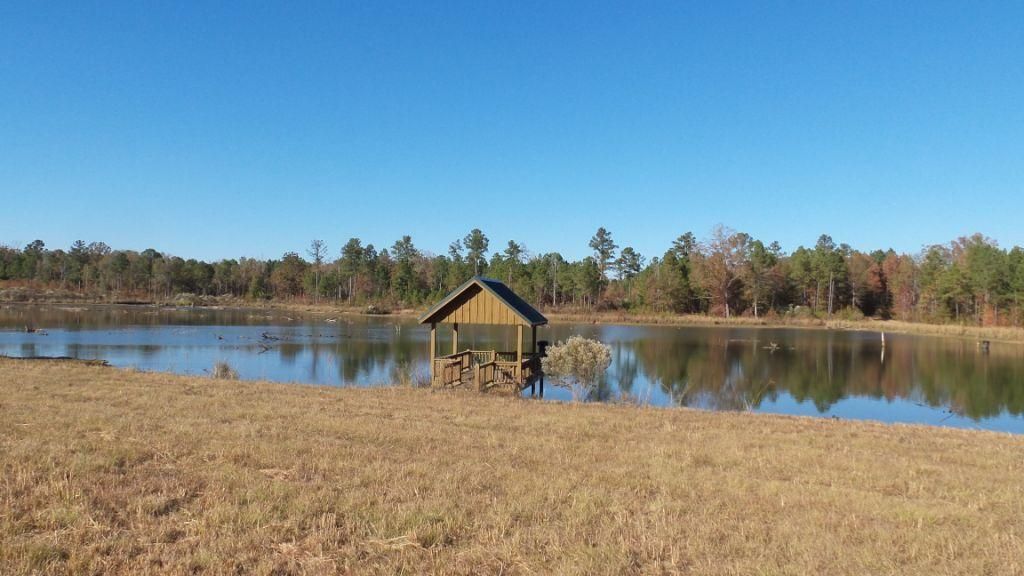 500 acres in Bullock County, Alabama