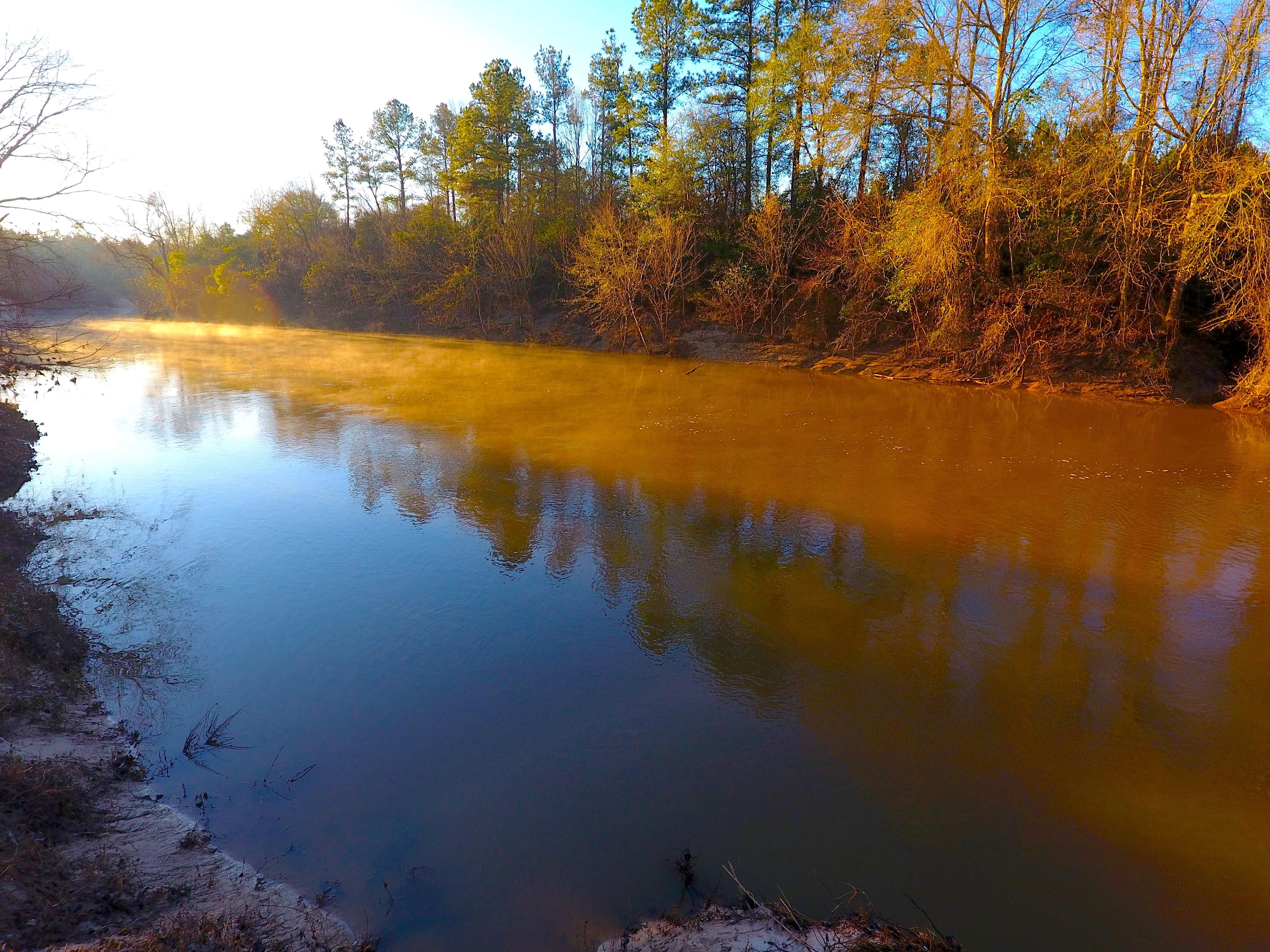 90 acres in Perry County, Mississippi