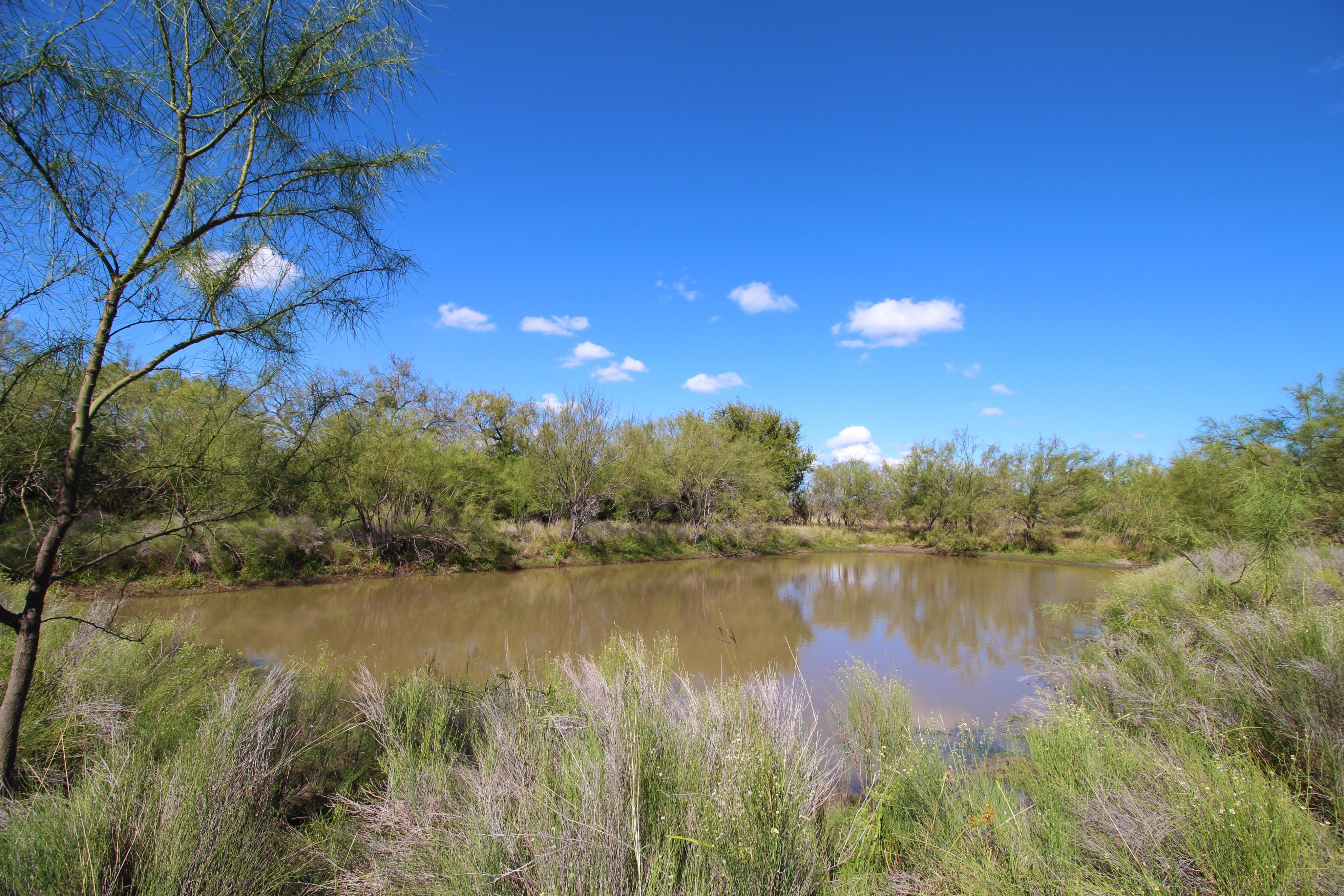 636.00 acres in Dimmit County, Texas