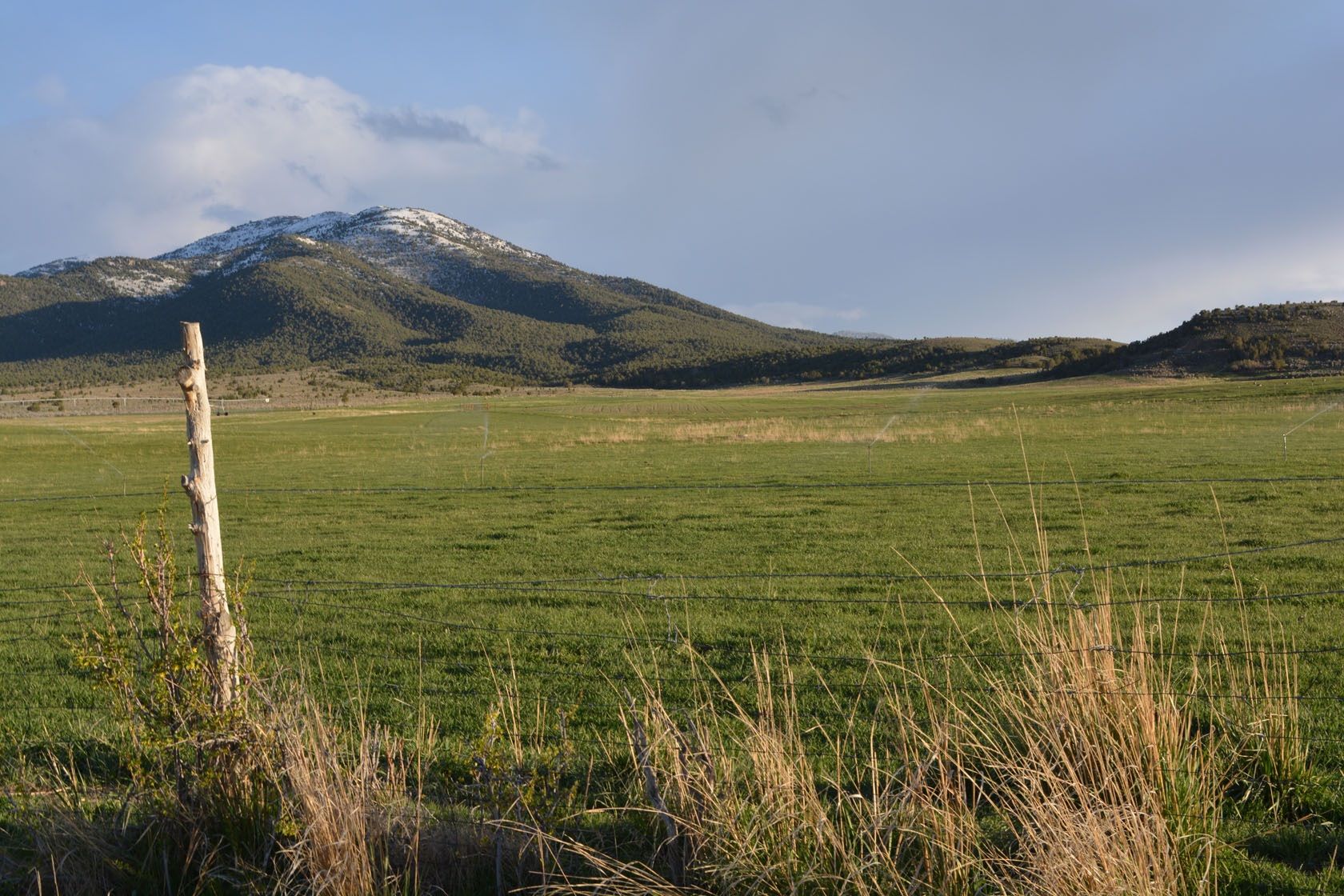 1,590 acres in Cassia County, Idaho