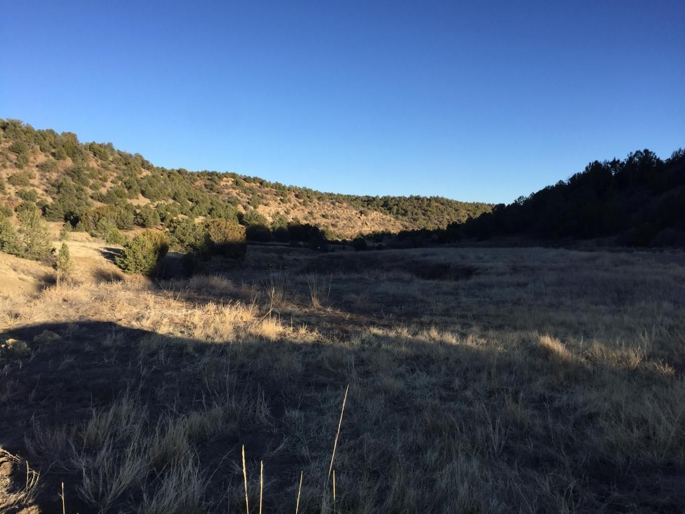 40 acres in Las Animas County, Colorado
