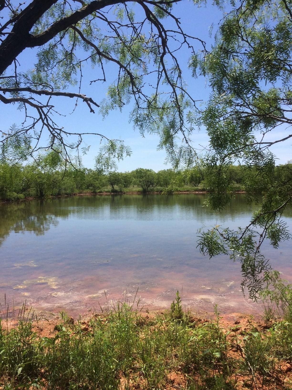 640 acres in Baylor County, Texas
