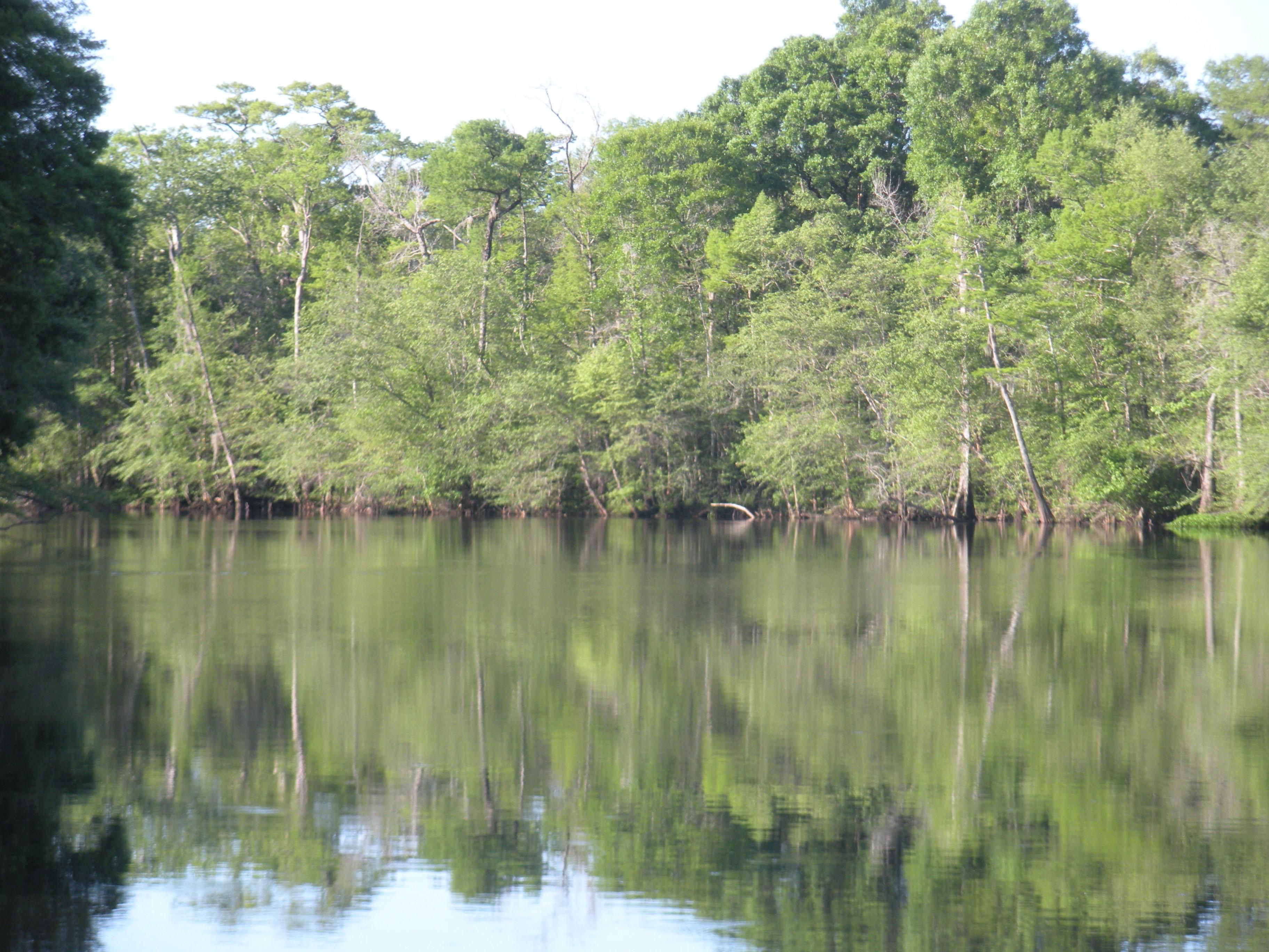 165 acres in Marion County, South Carolina