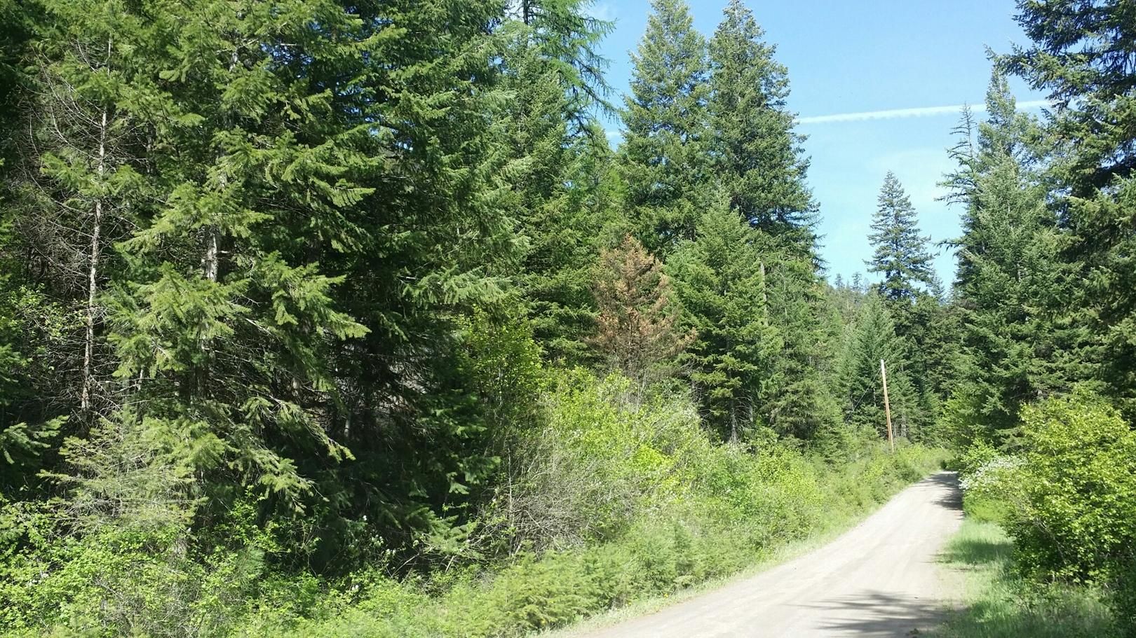 22.8 acres in Mineral County, Montana