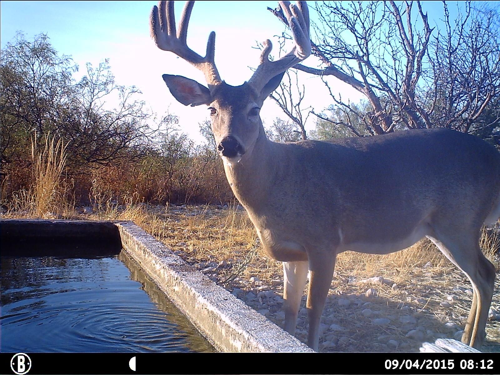 5,120 acres in Terrell County, Texas