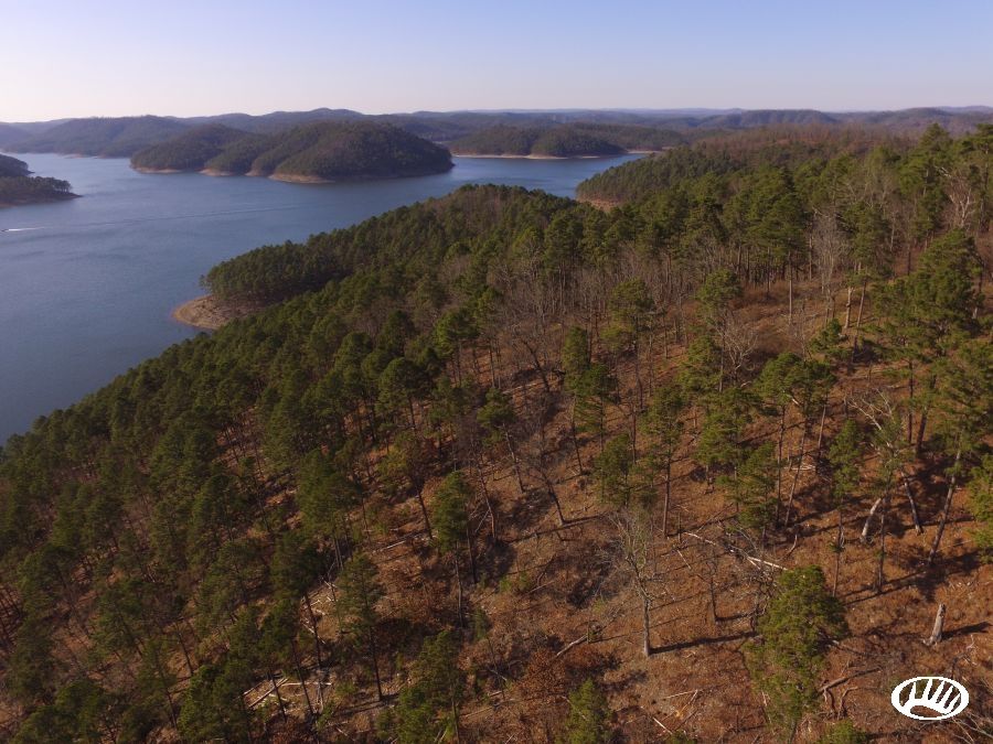 47.00 acres in McCurtain County, Oklahoma