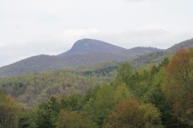 315 acres in Carroll County, Virginia