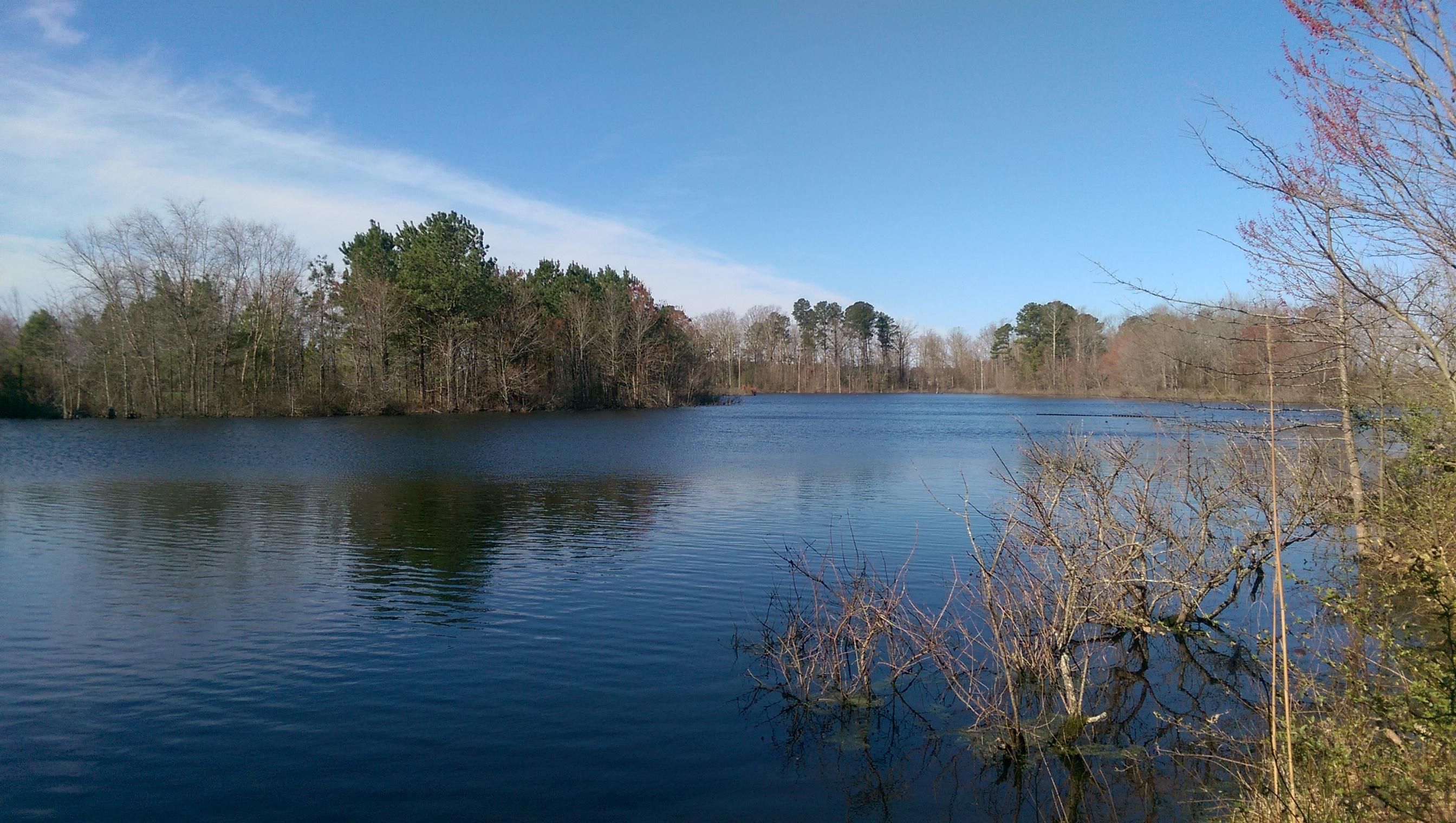 132.47 acres in Prince County, Virginia