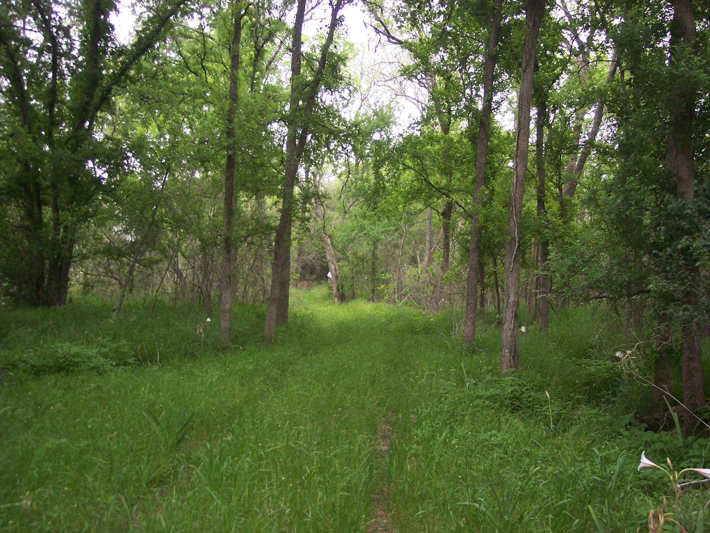8.27 acres in Fort Bend County, Texas