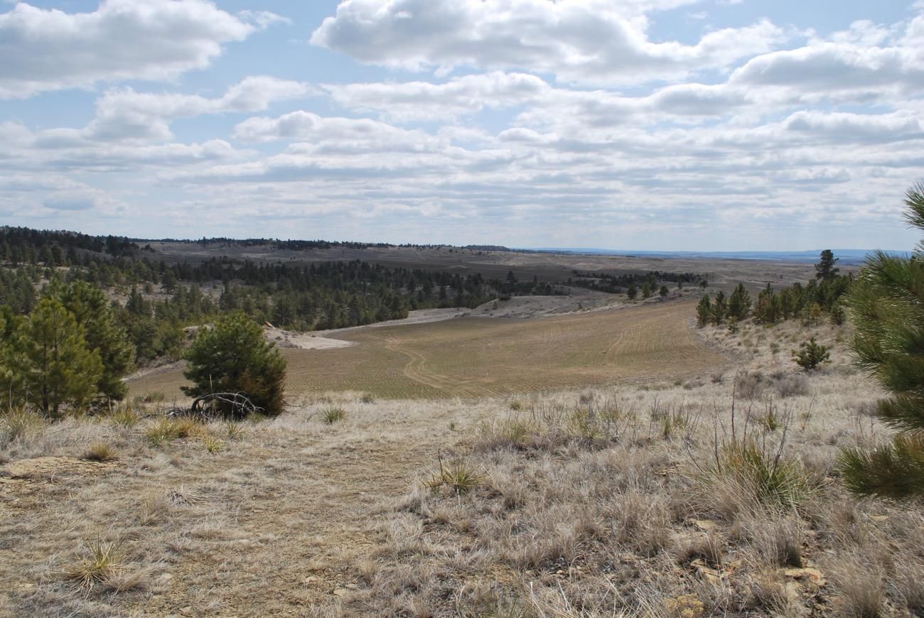 3,200 acres in Yellowstone County, Montana