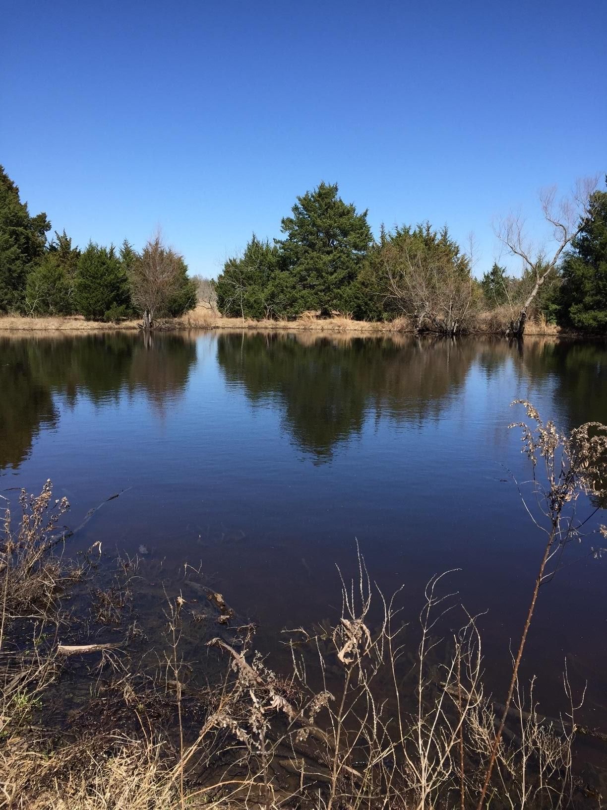 79 acres in Limestone County, Texas