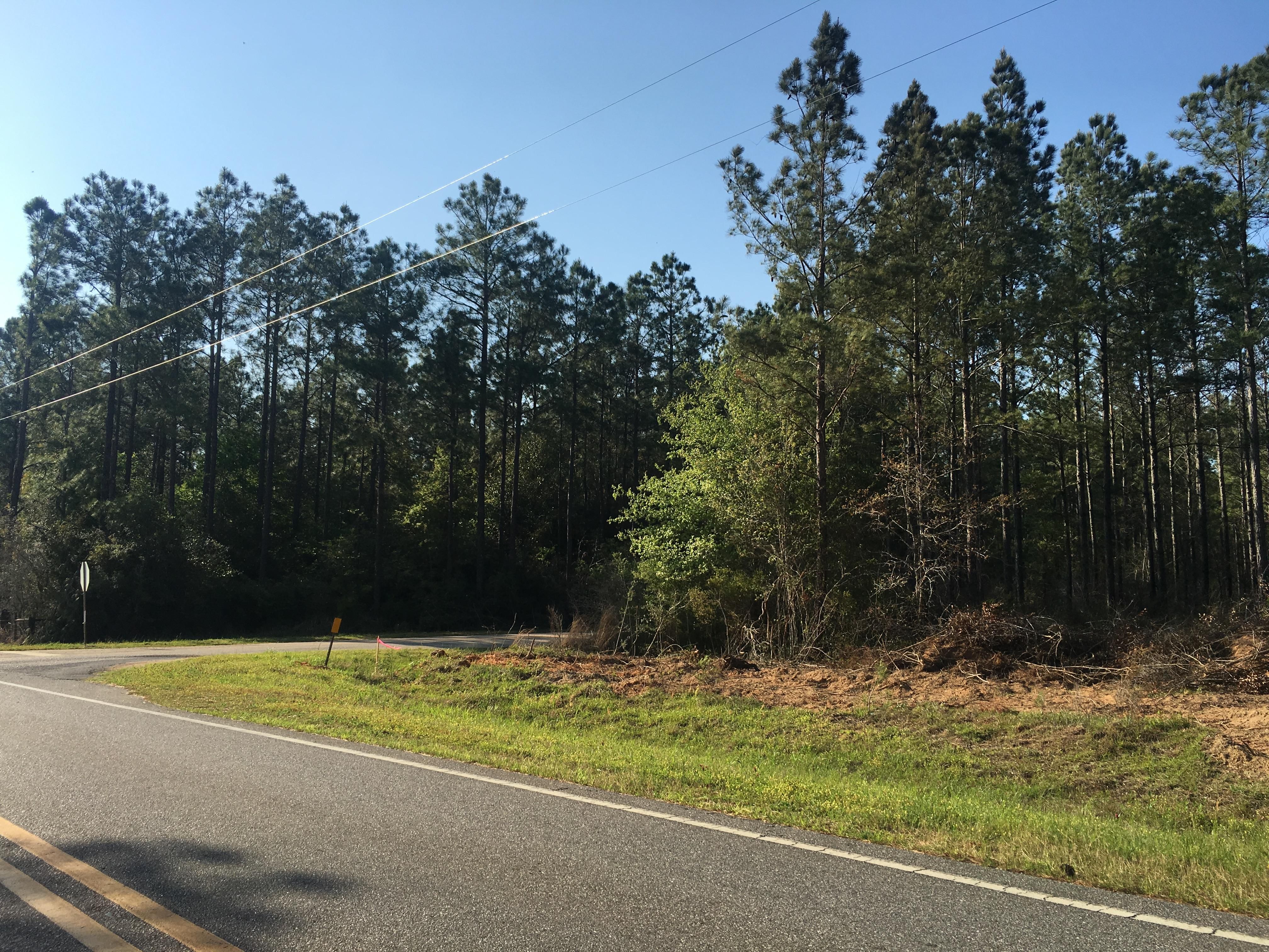 26.2 acres in Baldwin County, Alabama