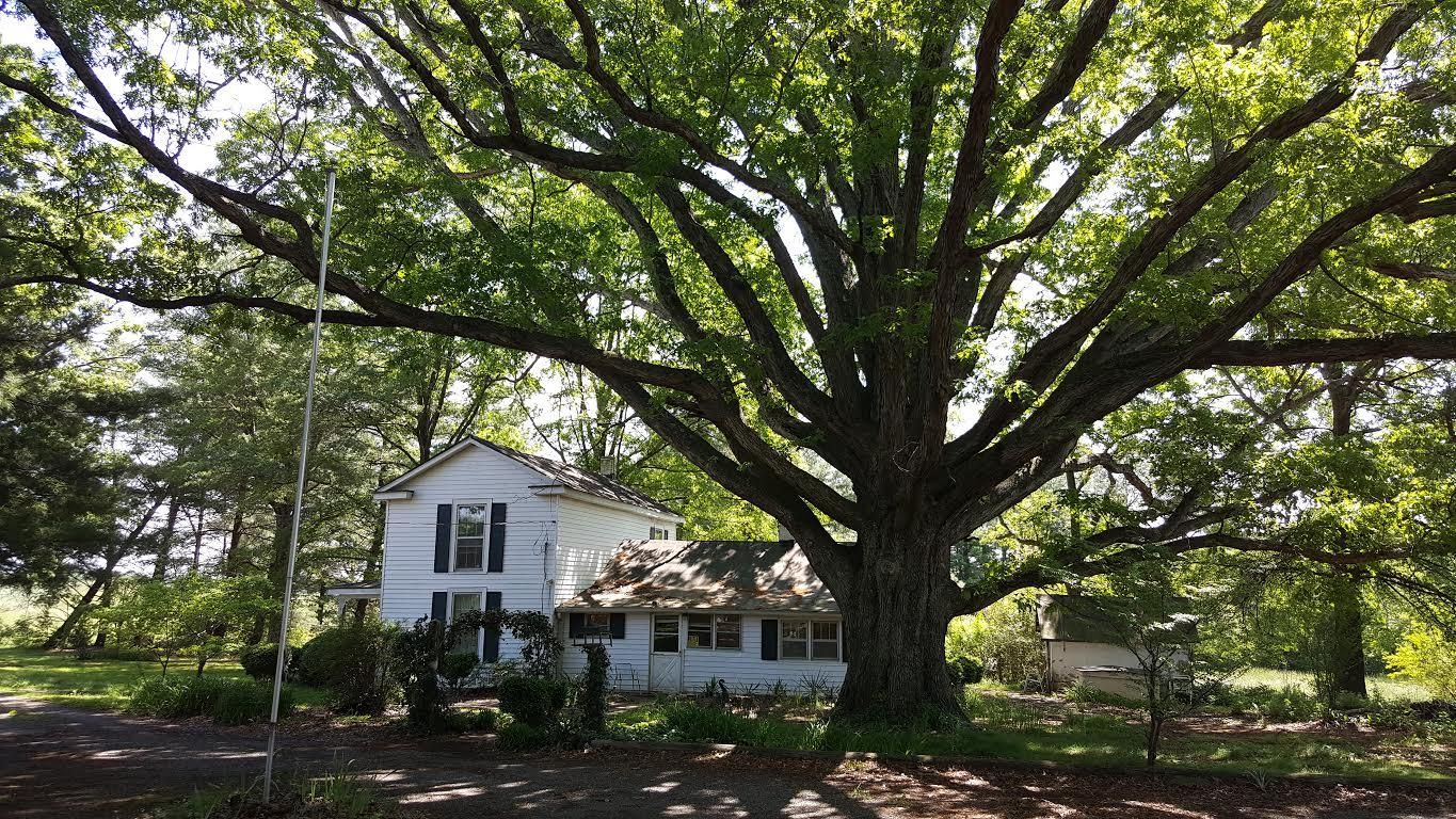 41.00 acres in Pittsylvania County, Virginia