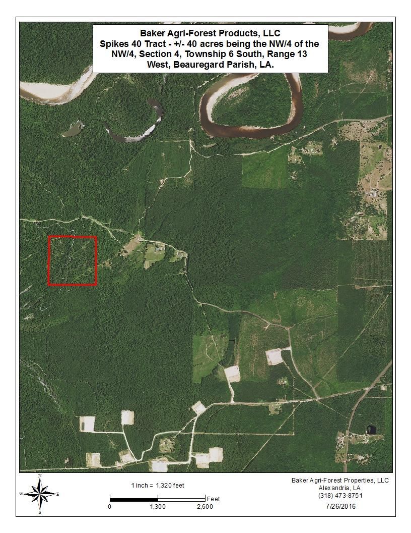 40 acres in Beauregard Parish, Louisiana
