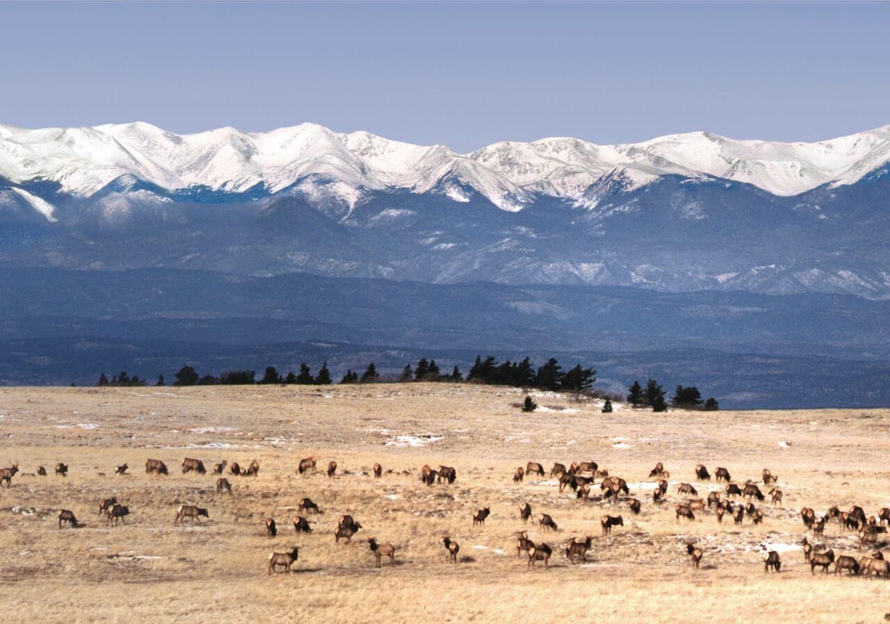 19,200 acres in Las Animas County, Colorado