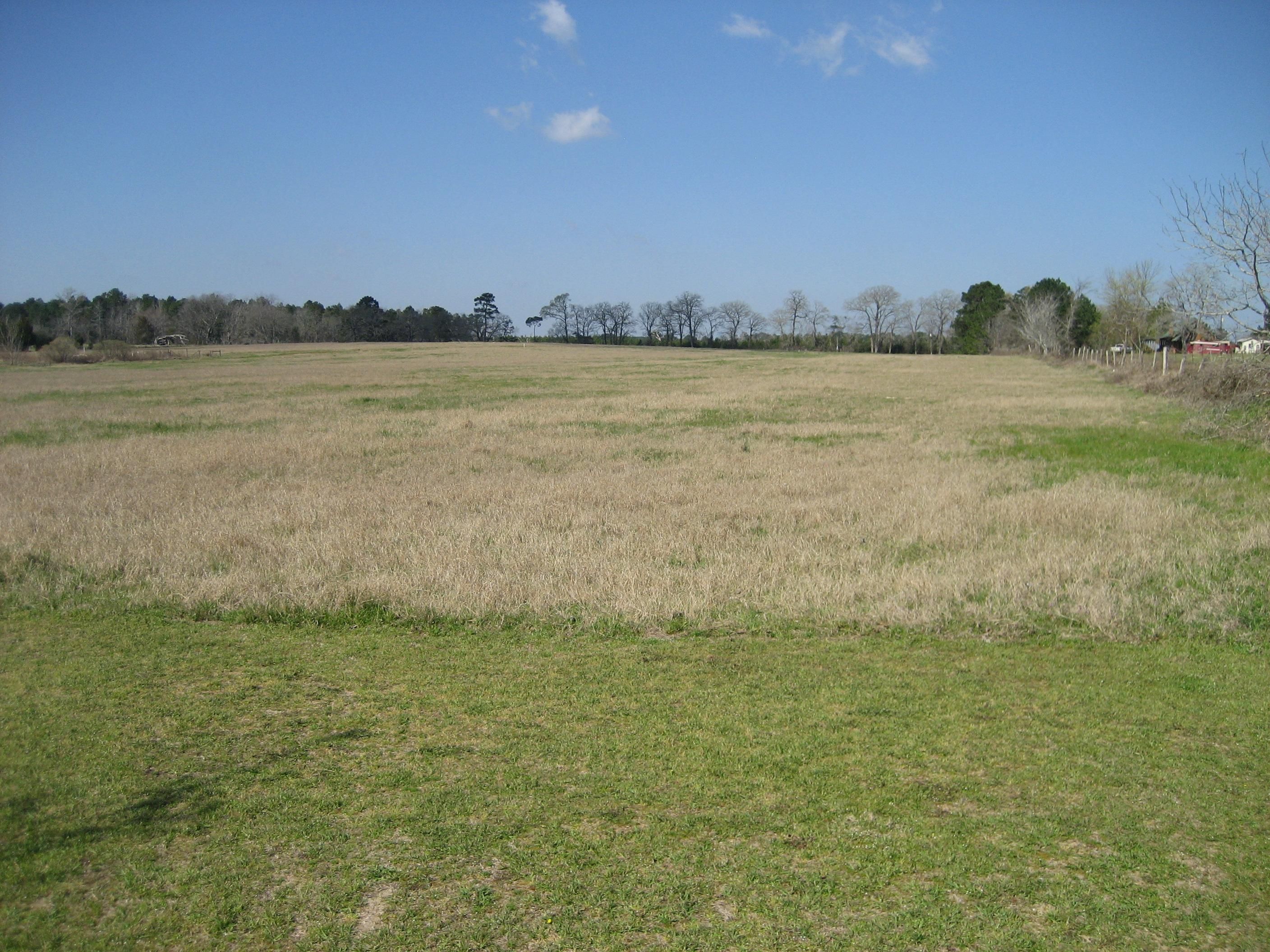 82 acres in Houston County, Texas