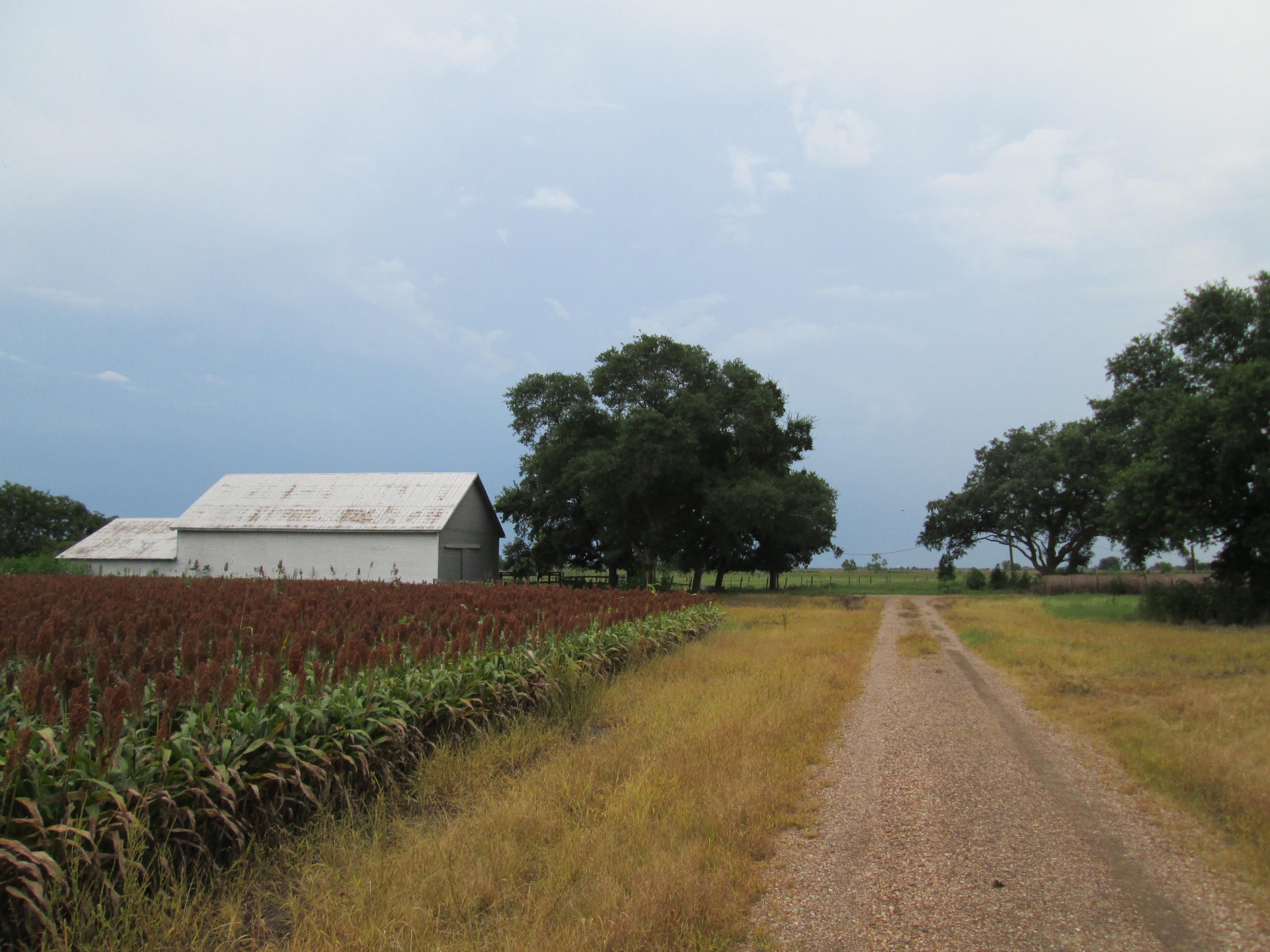 209 acres in Fort Bend County, Texas