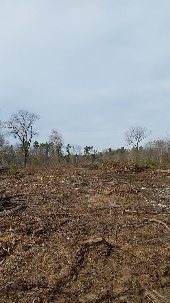 20 acres in Jefferson County, Arkansas