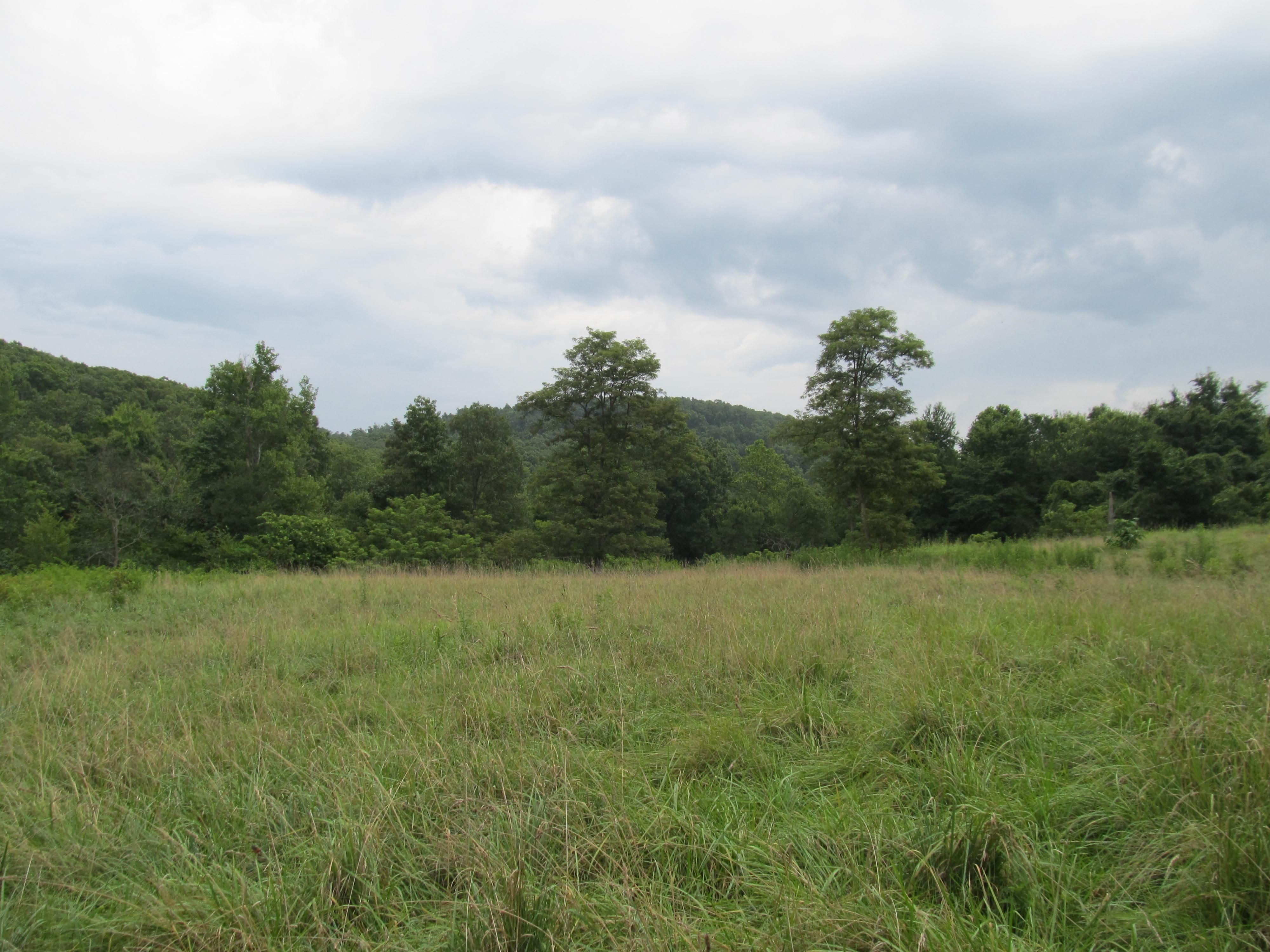 80 acres in Madison County, Arkansas