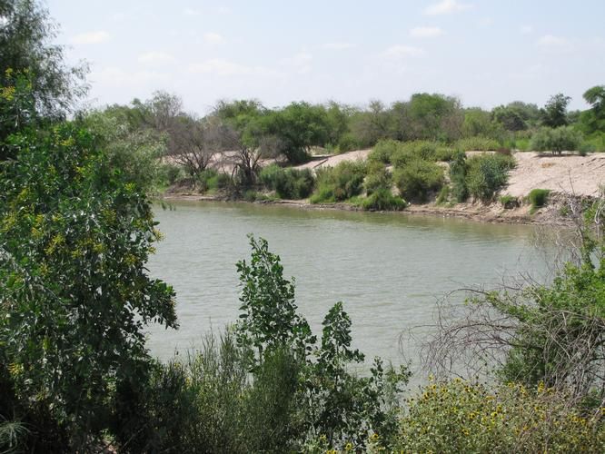 53 acres in Starr County, Texas