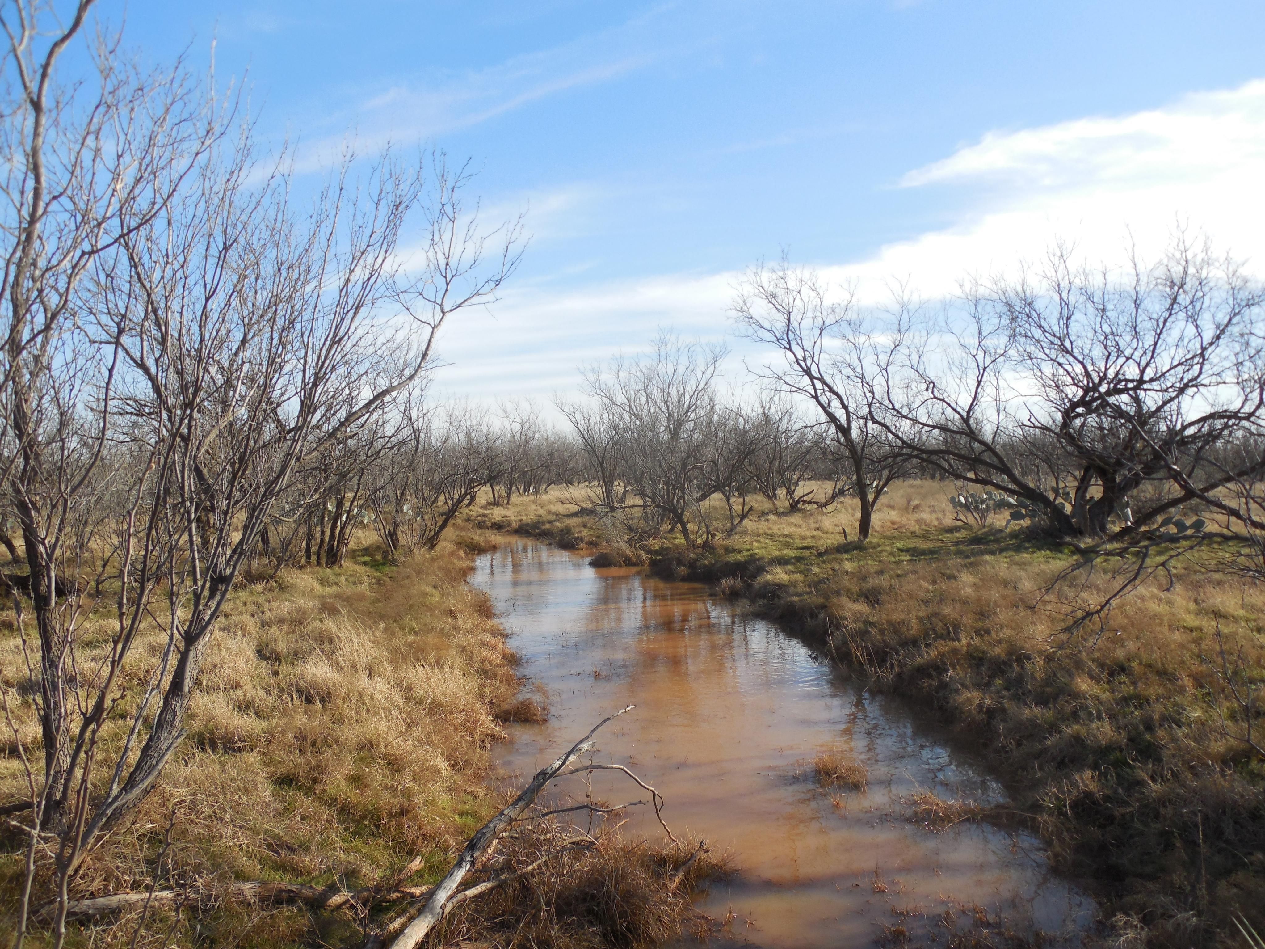1,280 acres in Mitchell County, Texas